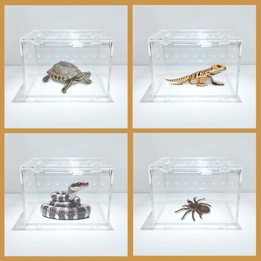Transparent Reptile Pet Box10 X 8 X 7&middot;5 Cm image number 4