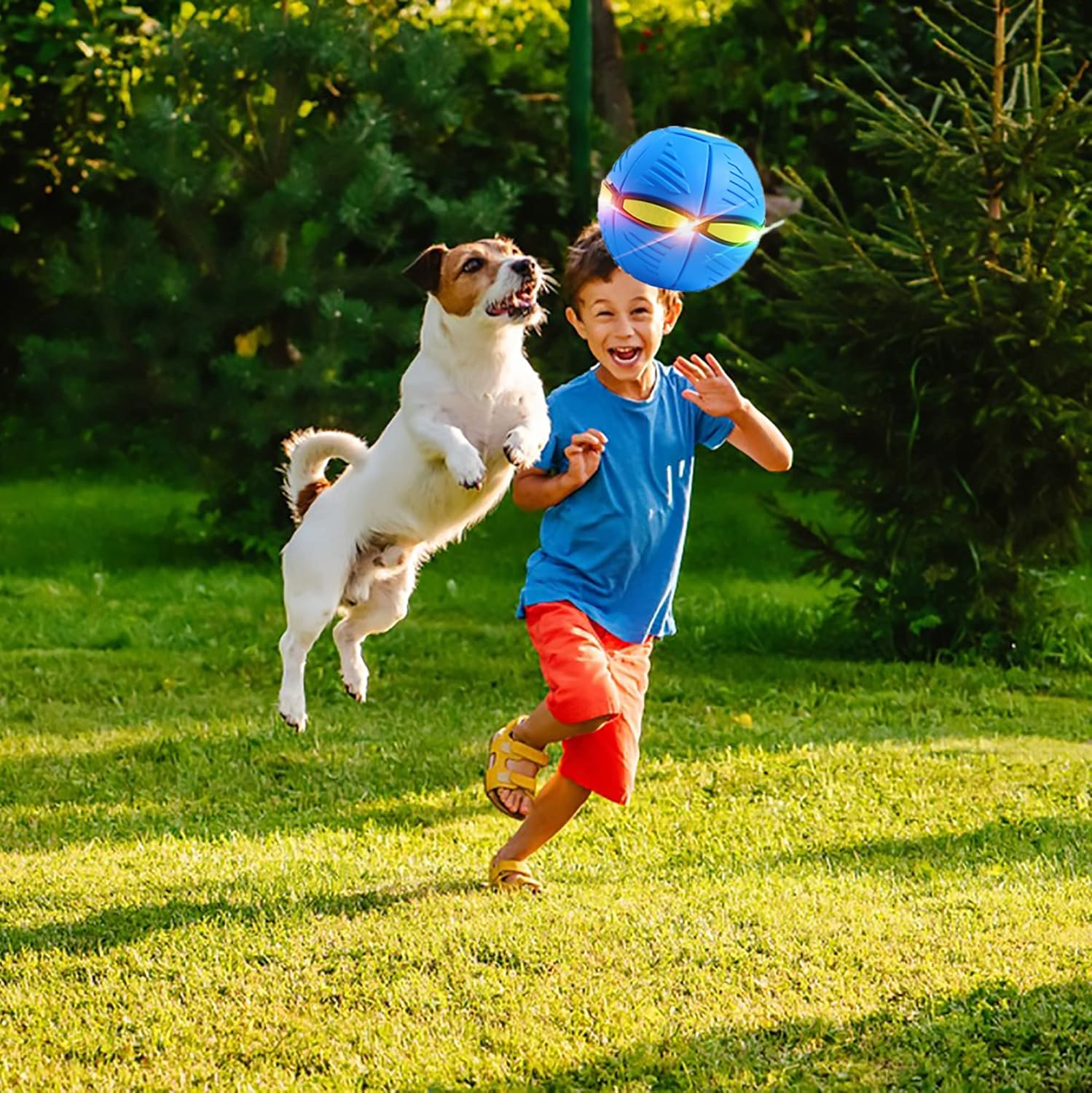 Pet Toy Flying Saucer,Dog Toy Deformation of Foot Pressure,Portable Dog Flying Saucer Toy,Interactive Flying Ball for Dogs,Outdoor Sports Suitable for Small Dogs-Blue image number 5