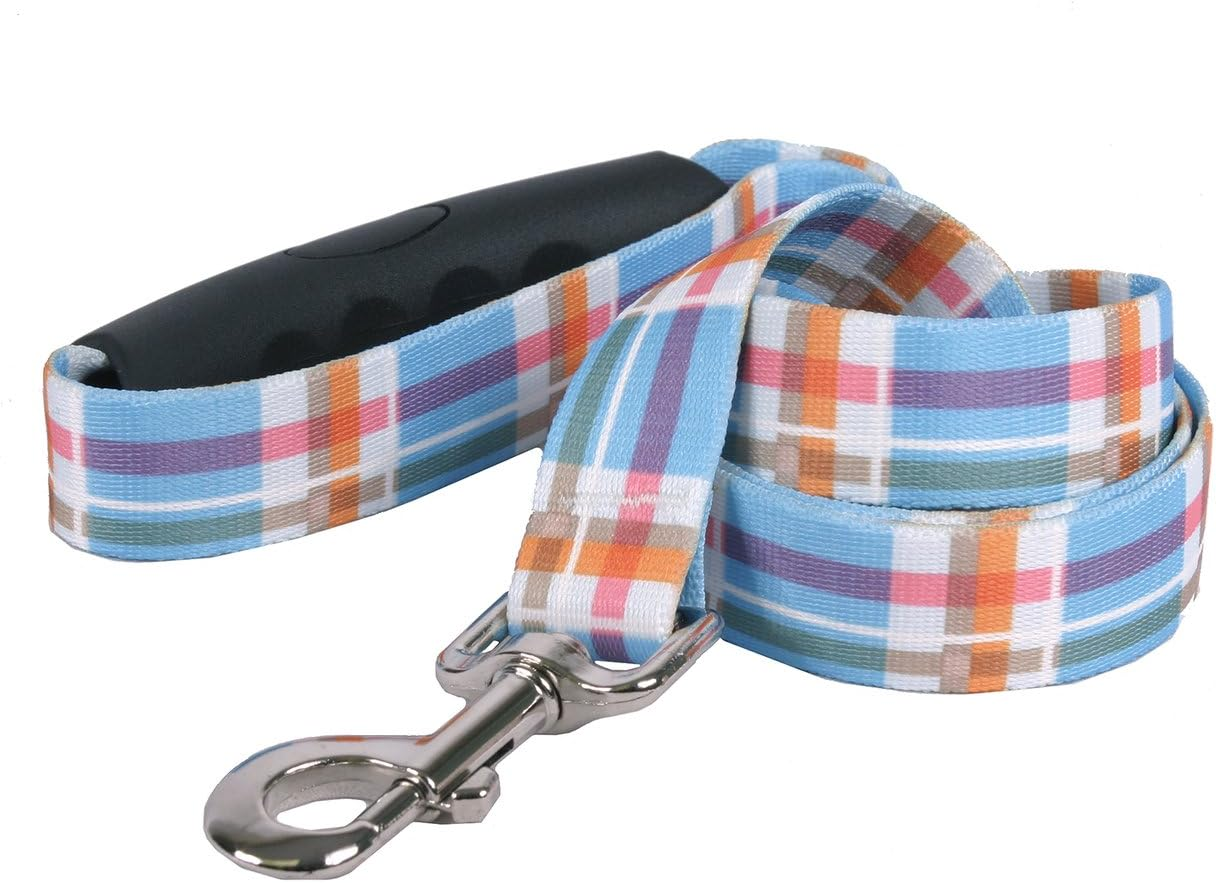 Southern Dawg Madras Blue Premium Dog Leash with Comfort Grip Handle-Large-1" and 5' (60") Made in the USA by Yellow Dog Design