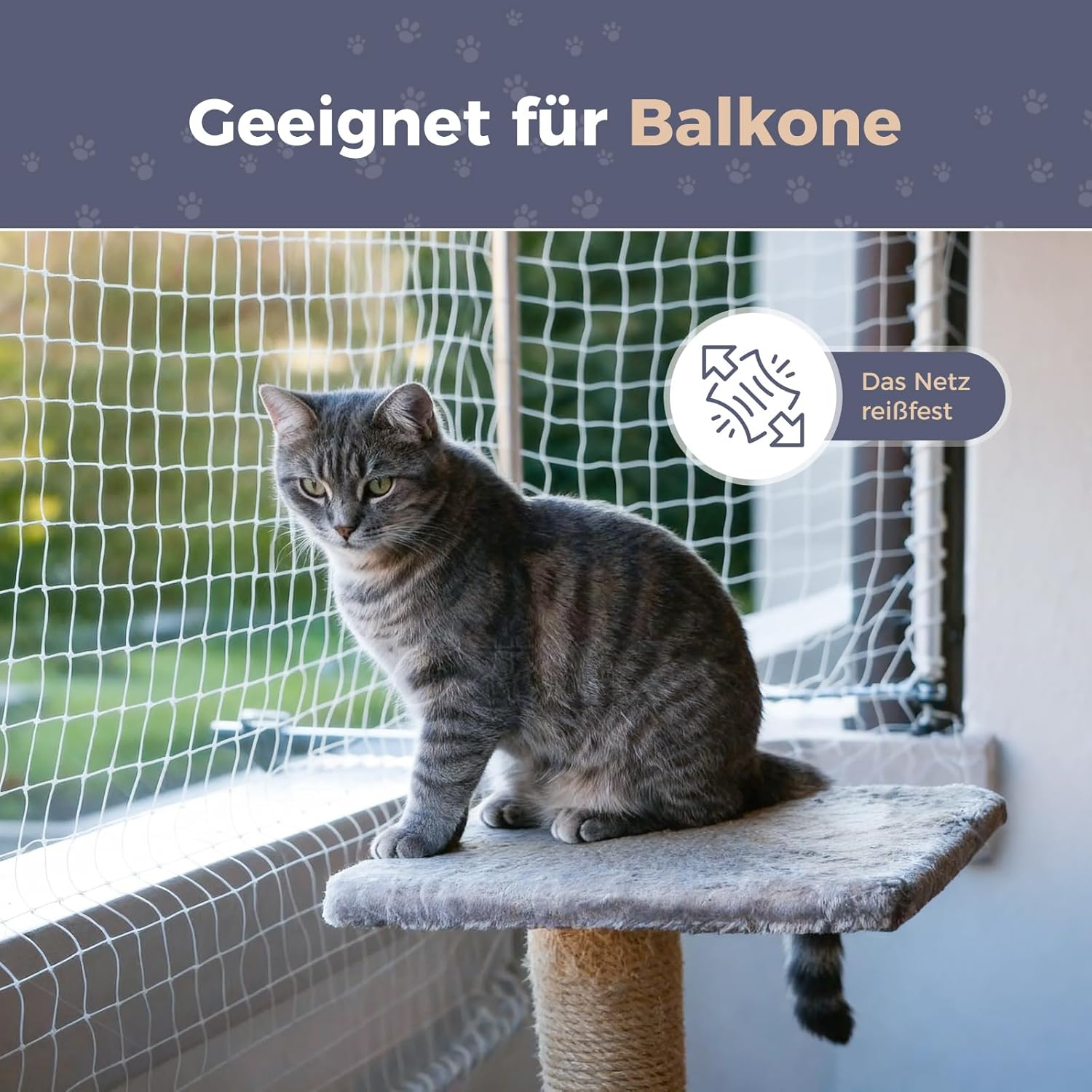 Balcony Cat Netting, Strong Resilience Nylon Anti-Bird Net, Garden Netting, anti Pigeon Net Protection Net (5 X 5 M/Transparent, 5 X 5 M/Transparent) image number 2