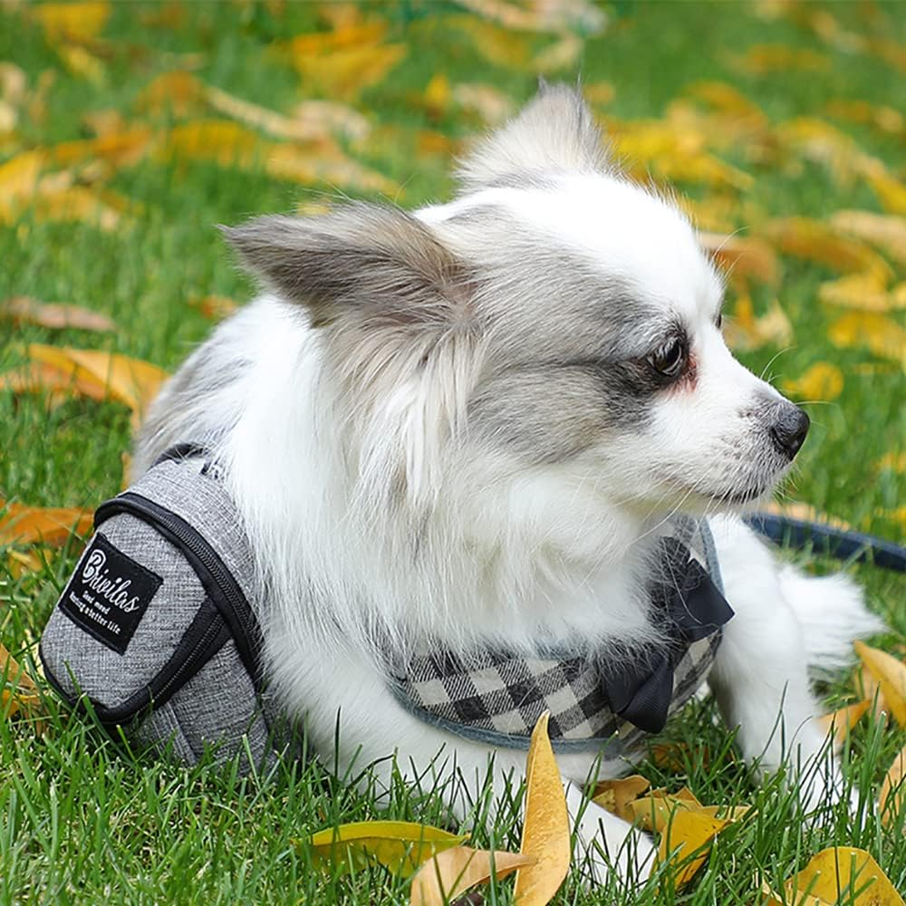 Dog Training Treat Pouch with Pet Waste Bag Dispenser and Poop Bag Holder - Rose Red - Grey image number 2