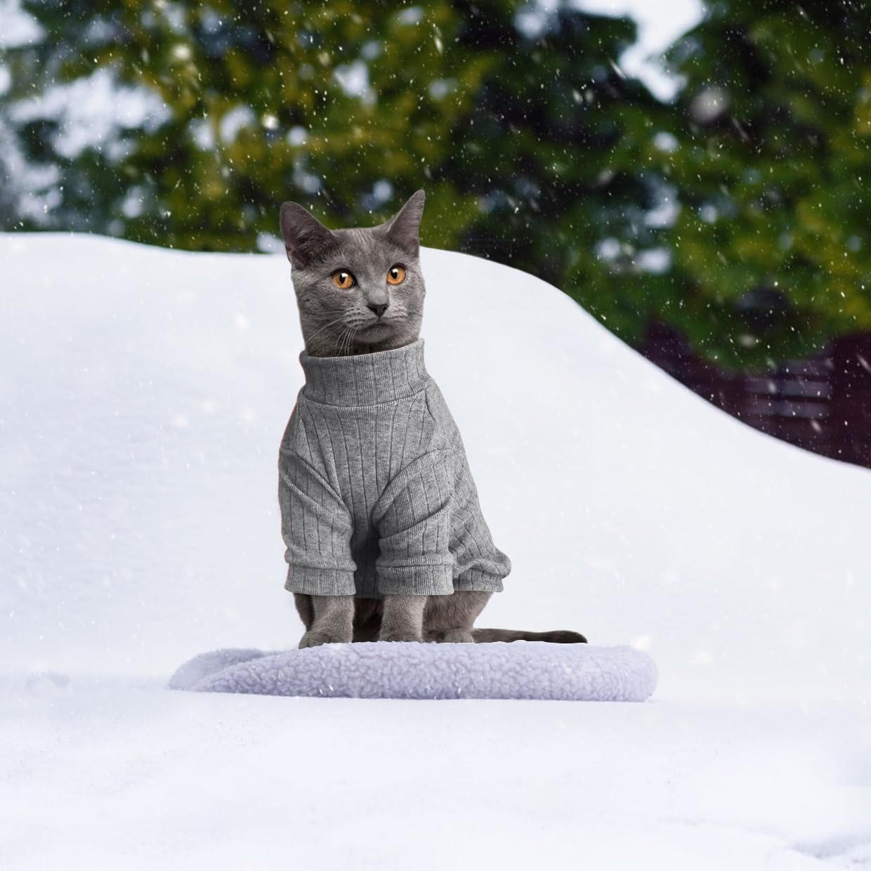 Oslueidy Sphynx Cat Clothes, Hairless Cat Vest Turtleneck Sweater, Kitten Puppy Pullover Shirt with Sleeves, Cat Pajamas Jumper for Sphynx, Cornish Rex, Devon Rex, Peterbald (Grey, XS) image number 2