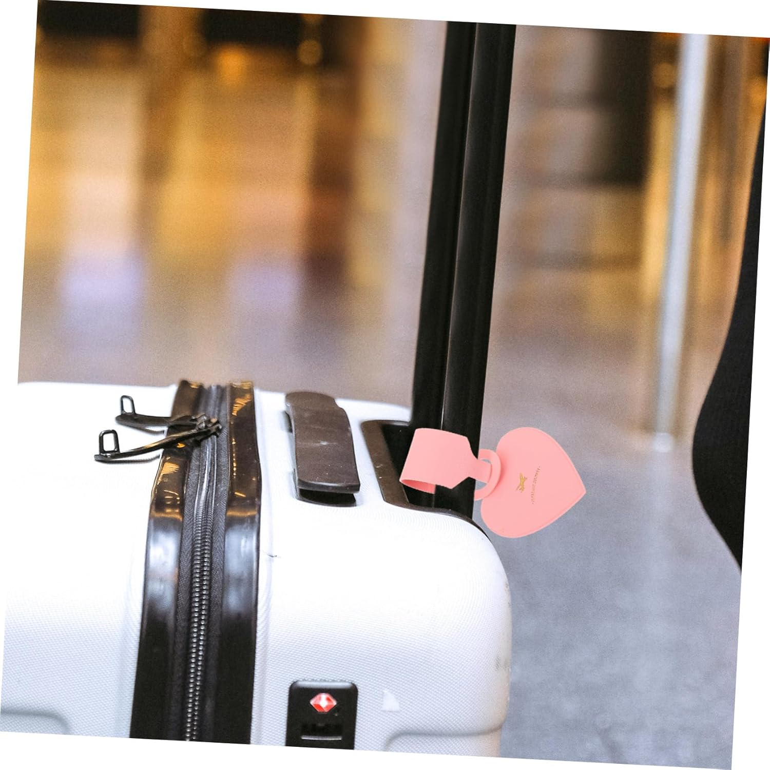 CONGARTENO 4Pcs Luggage Tags Labels for Travel Suitcase Tags Names Cute Bag for Suitcases