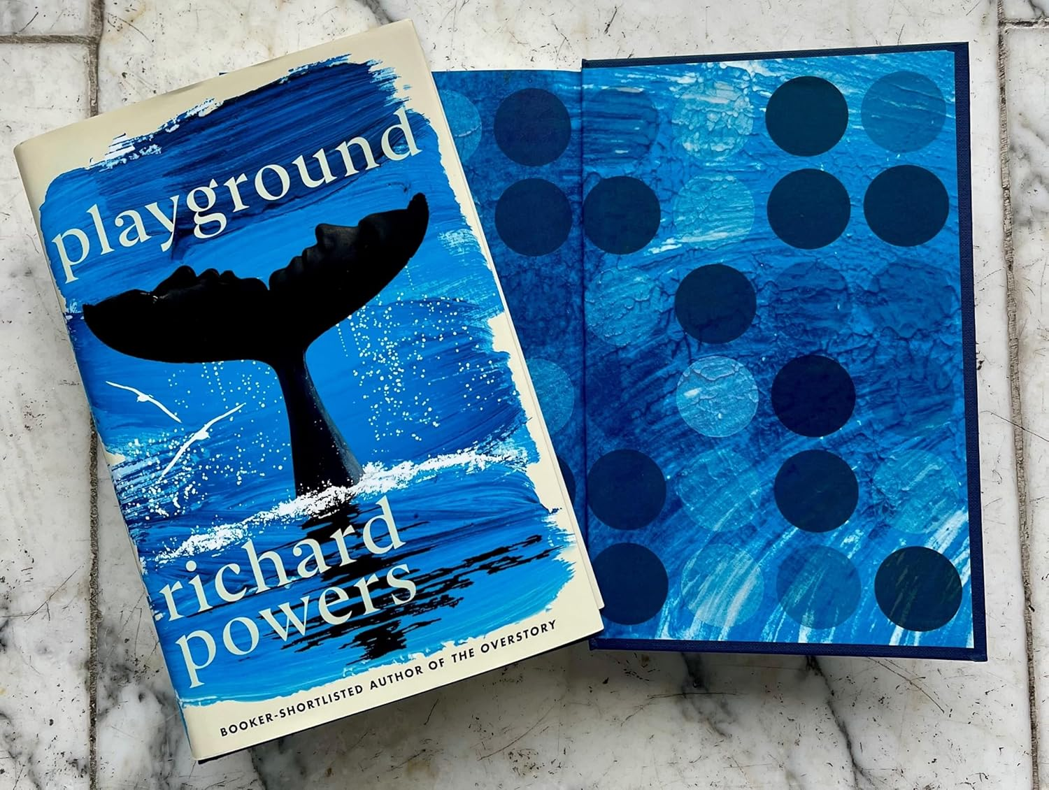 Playground: Longlisted for the Booker Prize 2024 image number 1