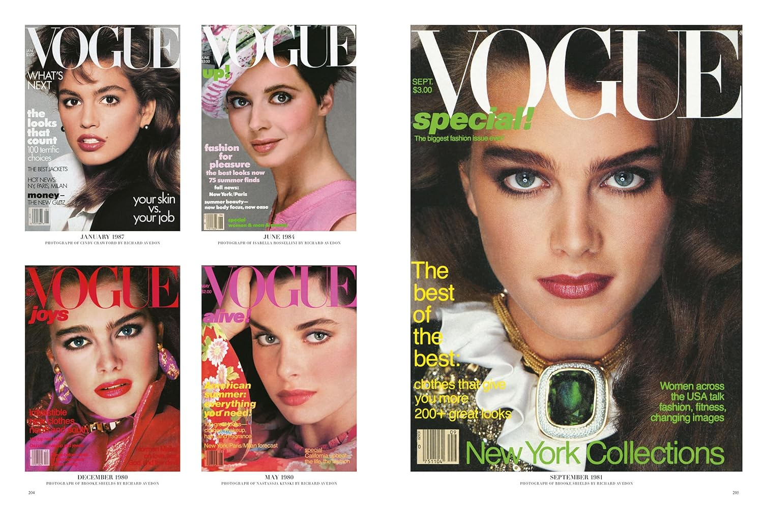 Vogue: the Covers (Updated Edition) image number 2
