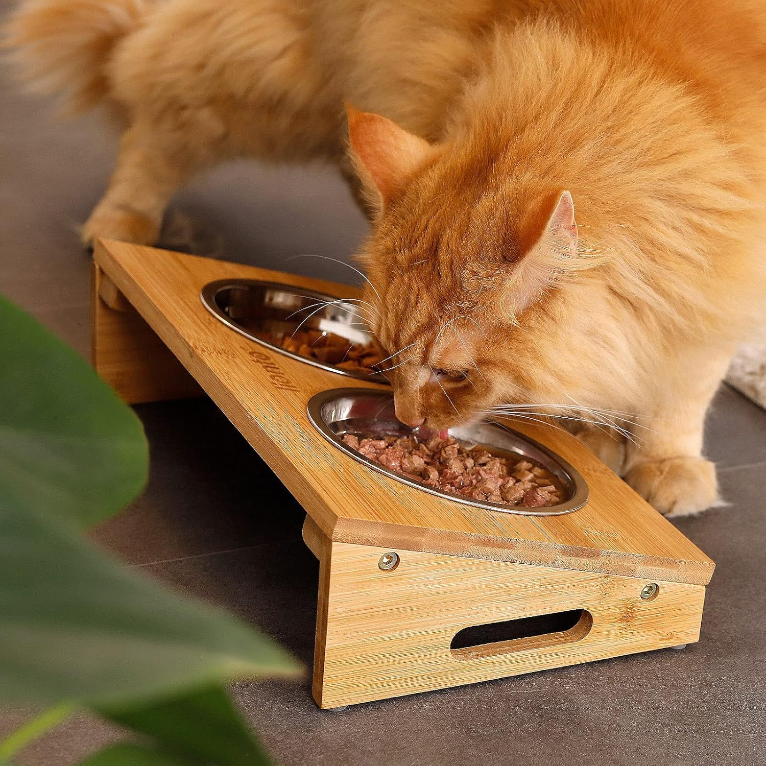 Lionto Raised Dog Bowl Feeding Station for Dogs and Cats Bamboo 2 Bowls Stainless Steel Double Bowl