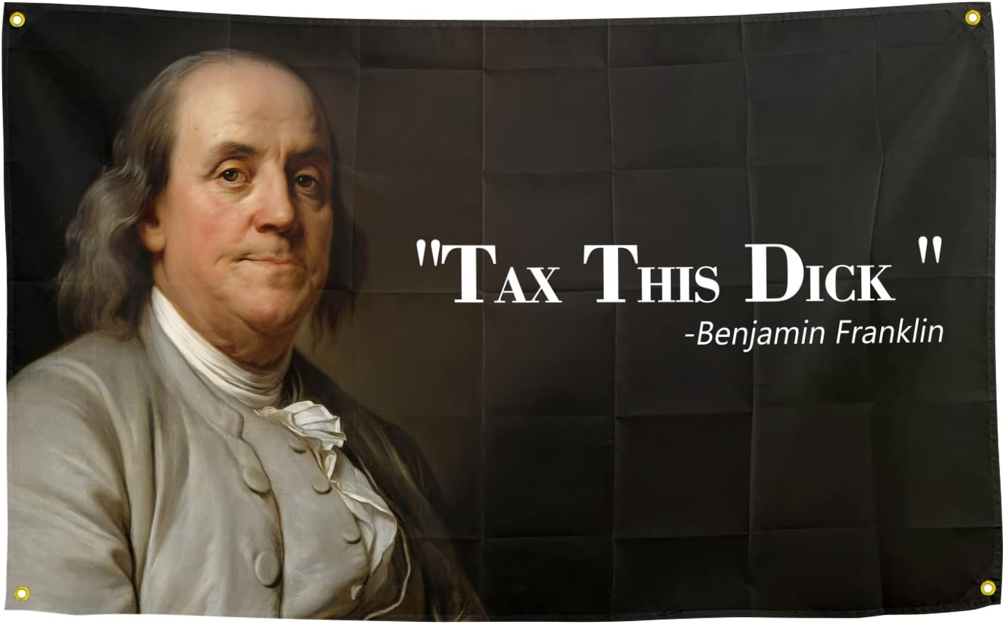 Benjamin Franklin Tax This Dick Flag Funny Flags for Room 3X5 Feet College Dorm Room Decor Man Cave Frat Wall Indoor Outdoor Flag image number 6