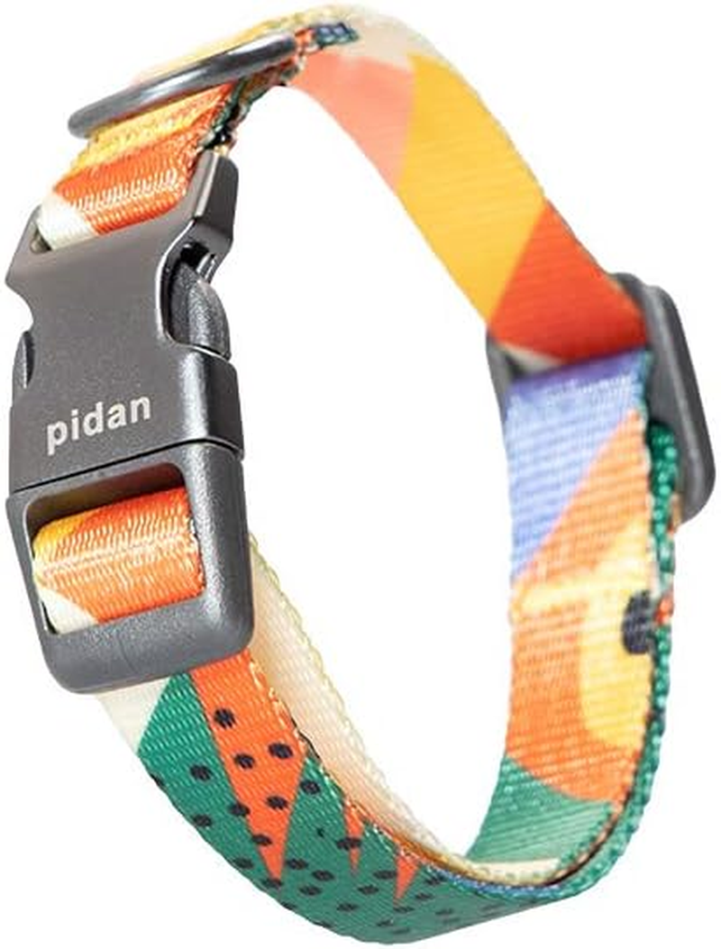 Pidan Dog Collar with Metal Buckle,