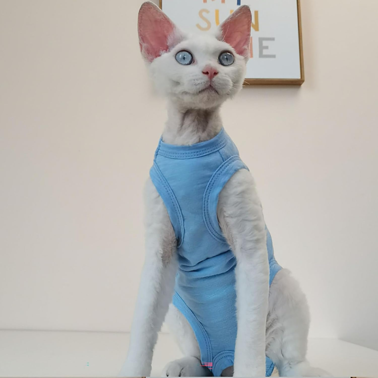 IUOUTG Hairless Sphynx Cat Clothes Breathable Four Leg Cotton Cat Pajamas Girl Kitten Pullover Vest Soft Boy Pet Clothes Kitten Shirts Cat Apparel for Cornish Rex Devon image number 5