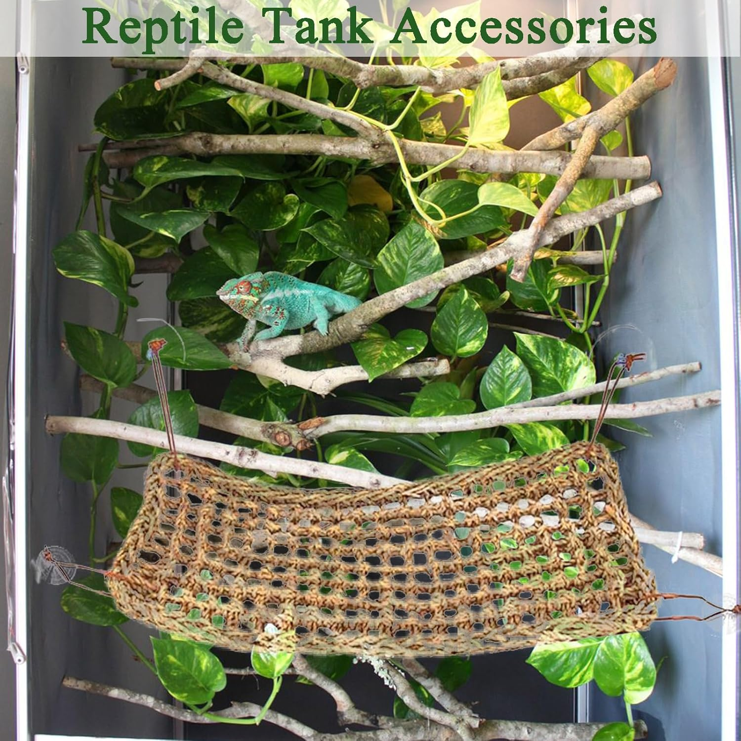 8Pcs Bearded Dragon Tank Accessories,Crested Gecko Tank Accessories,Bearded Dragon Hammock,Gecko Tank Accessories,For Snakes,Chameleon,Bearded Dragon image number 3