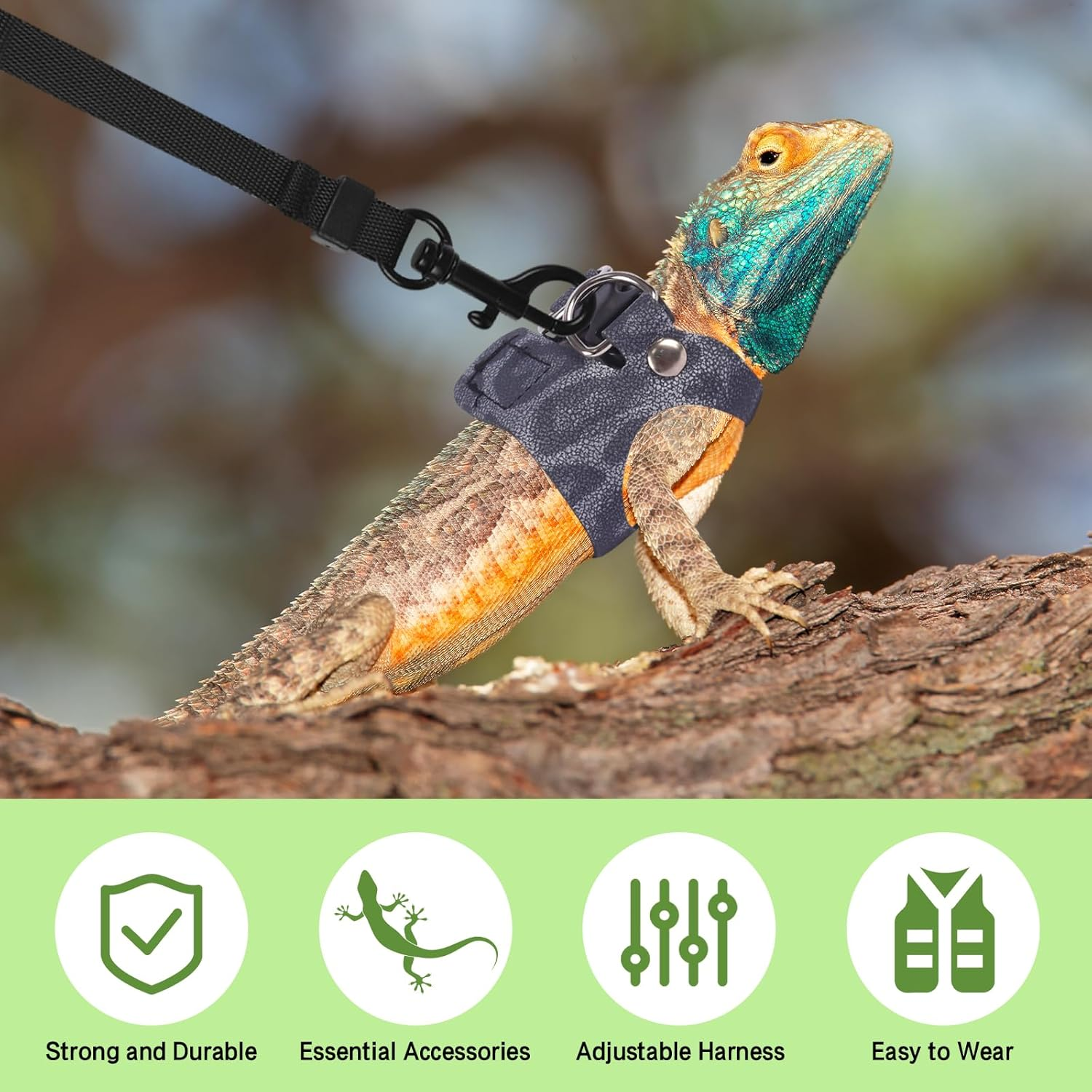 Bearded Dragon Lizard Leash Harness 3 Size Pack Leopard Print Lizard Harness Leash for Outdoor Small Reptiles Animal Squirrels (Blue)