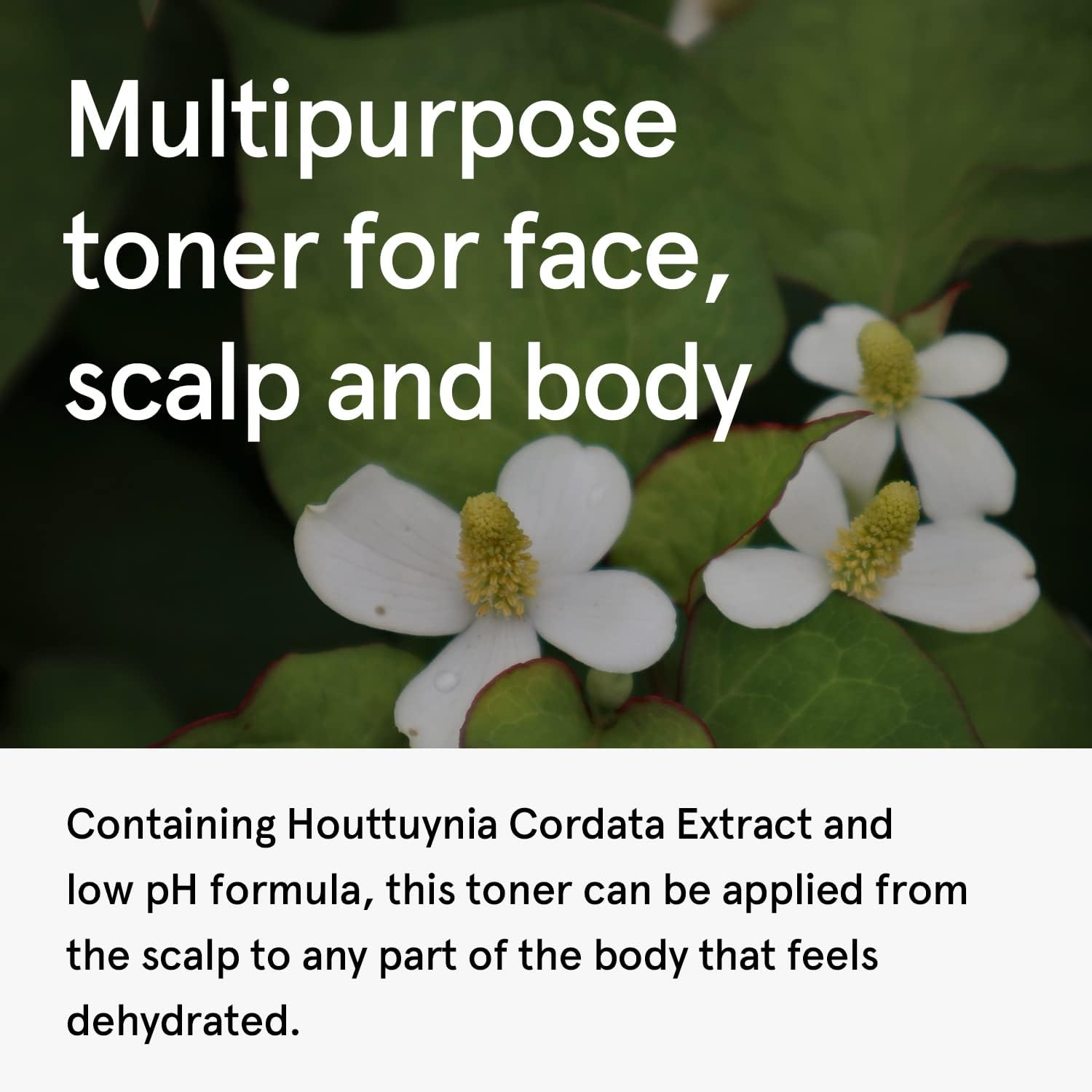 One Thing Houttuynia Cordata Extract 300Ml image number 4