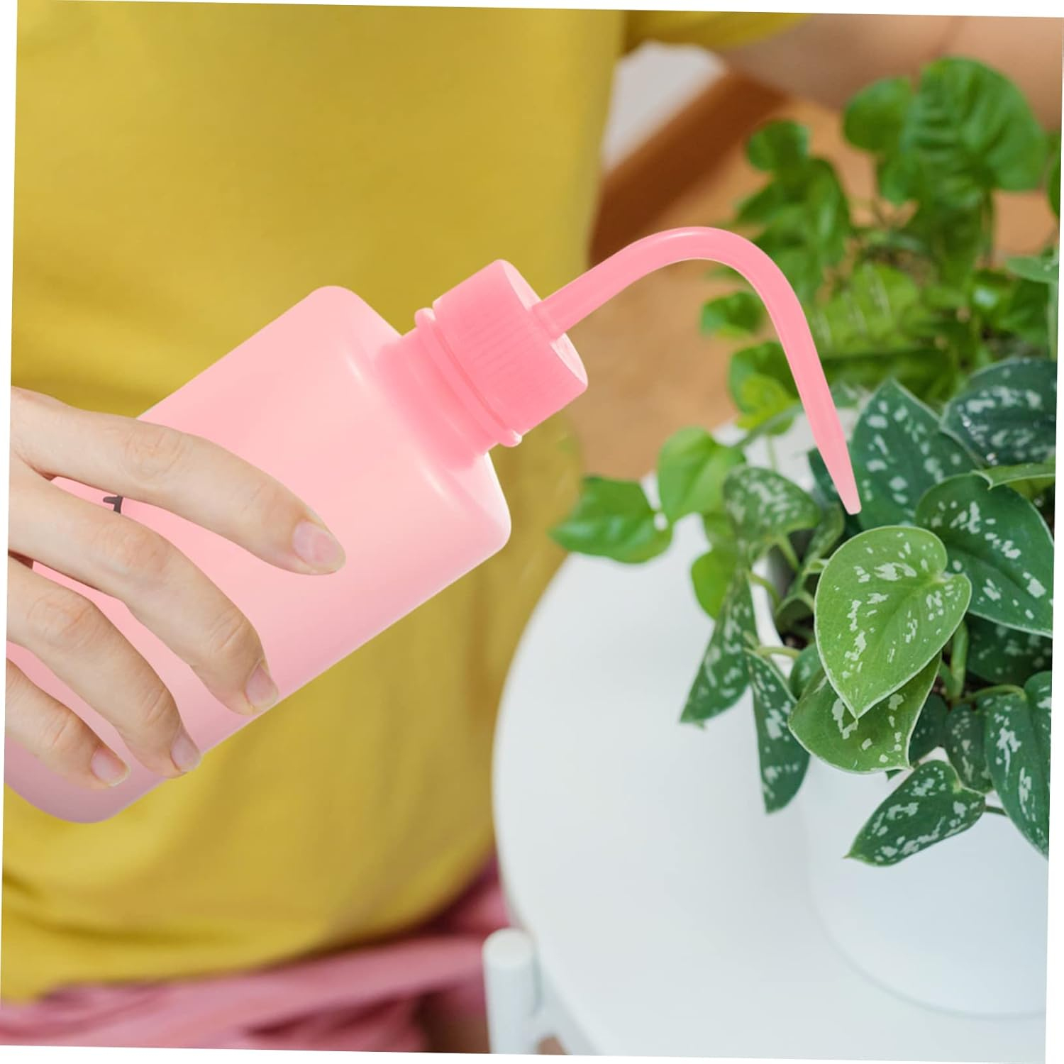 Kisangel 4Pcs Eyelashes Washing Bottles Portable Squeeze Plant Watering Bottles Angled Neck for Care and Precise Watering Design image number 3