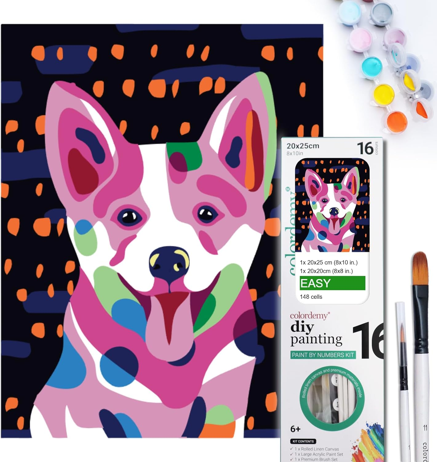 COLORDEMY 2-In-1 Paint by Numbers Kit - Rolled Canvases (20X25Cm & 20X20Cm), 16 Colours, Brushes & Paints Included - Fun for Adults & Kids, Perfect for Parties or Group Painting (Pinscher Design)