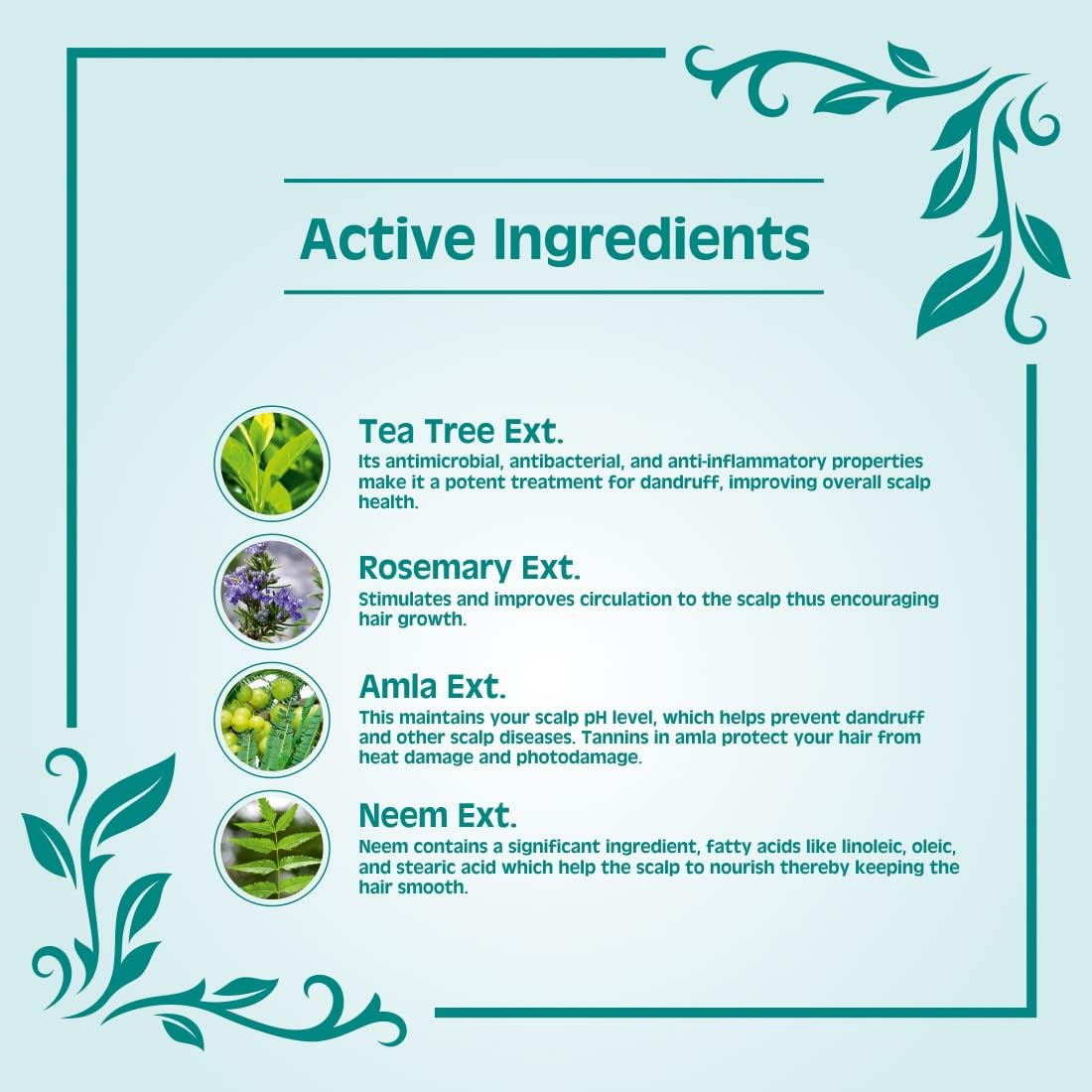 Earth Science Ayurveda anti Dandruff Shampoo with Tea Tree & Rosemary No SLS, Paraben Men or Women 200 Ml Pack of 1 image number 5