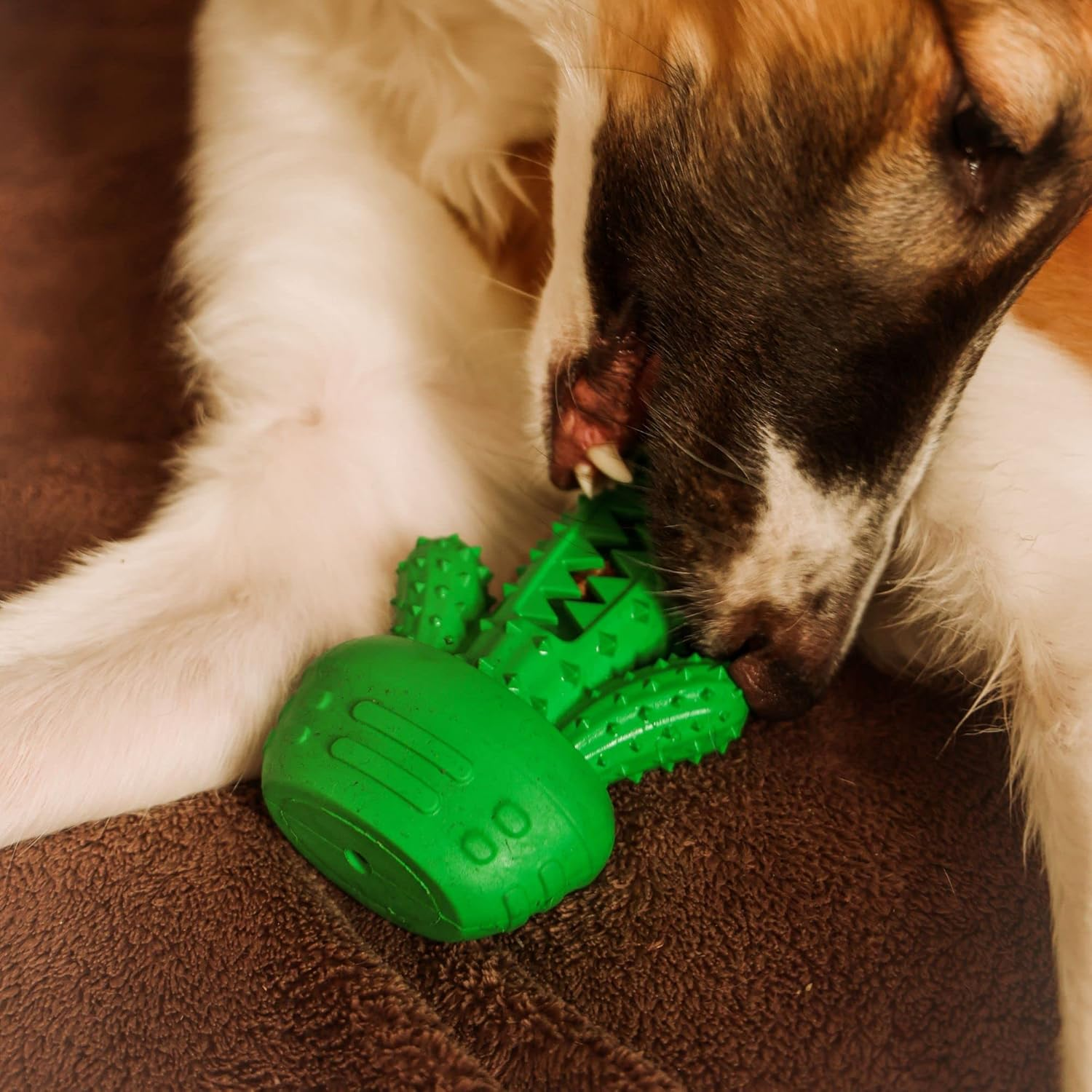 Dingo 17313 Hard Rubber TPR Cactus Dog Toy 17.5 Cm