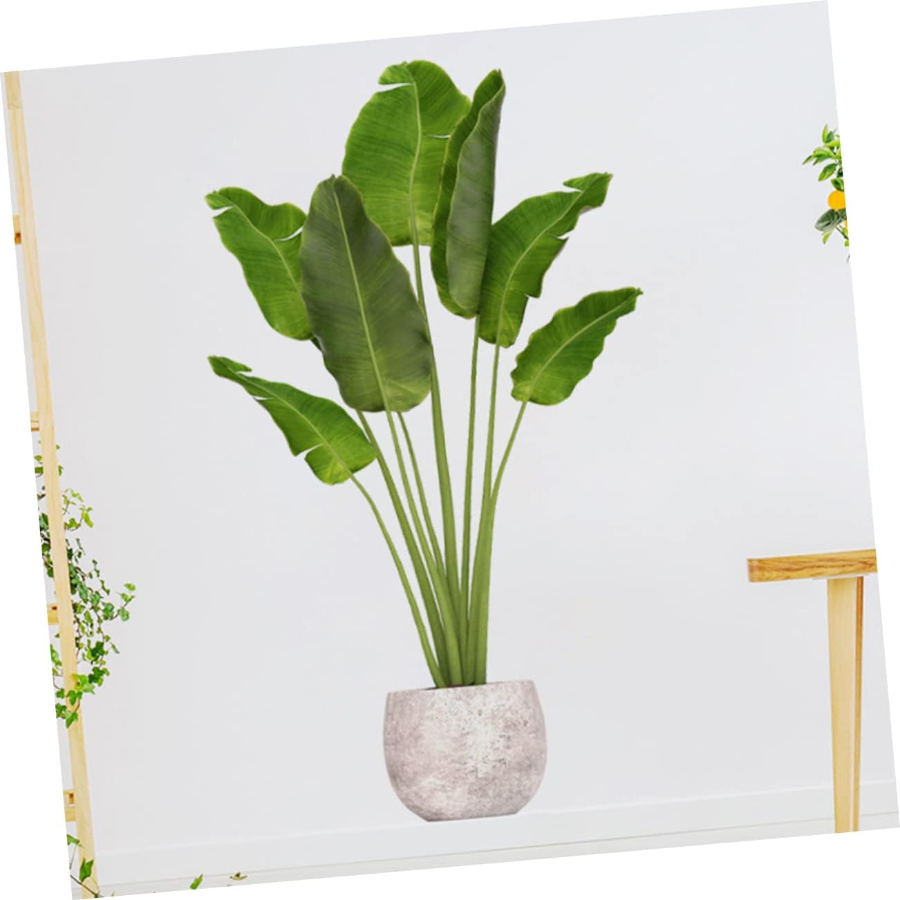 HAKIDZEL Potted Plant Wall Sticker for Boy Girl Decorative Wall Decal with Greenery Design Easy to Apply and Remove for Living and Bedroom Decor image number 2