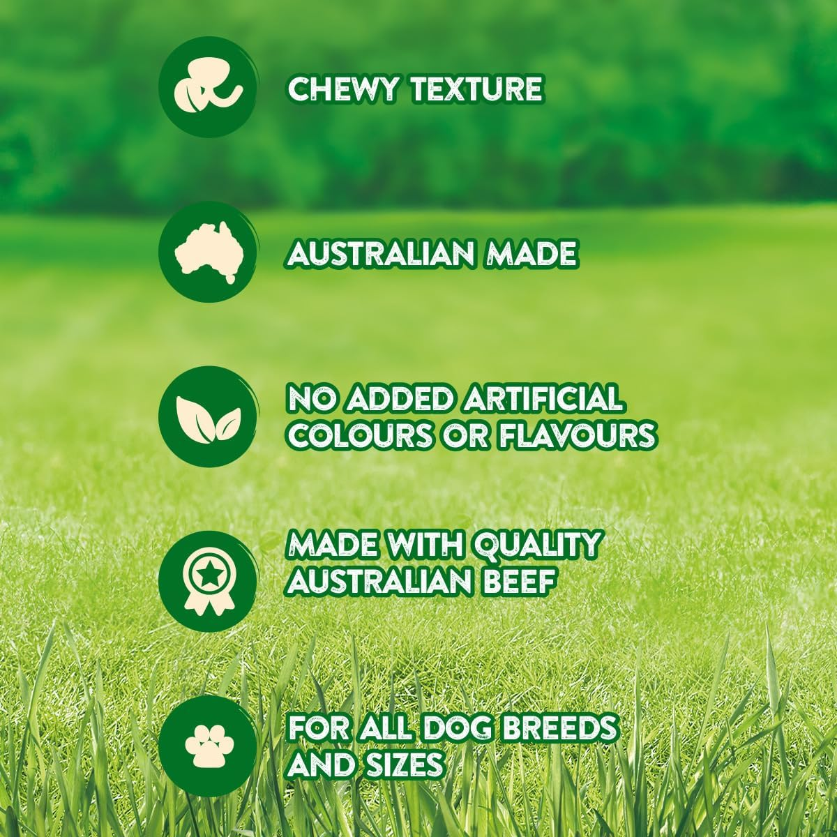 Nature'S Gift Straps Treats, Beef 9X150G - Soft and Chewy Straps, Made with Natural Ingredients for All Breeds image number 1