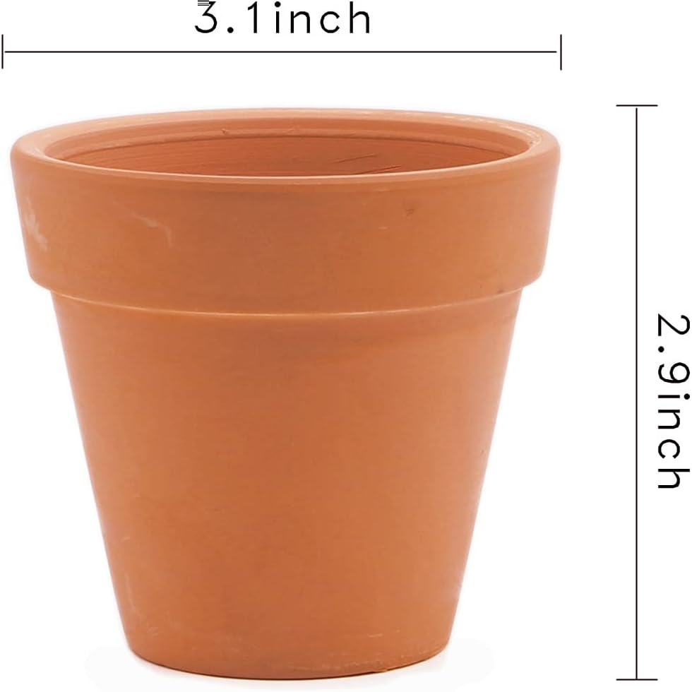 Goldblue 3 Inch Terra Cotta Pots Pack of 10 Flower Pots with Drainage Holes Small Craft Nursery Cactus Pot Water Permeable Succulent Plant Pottery Clay Flower Pots image number 2