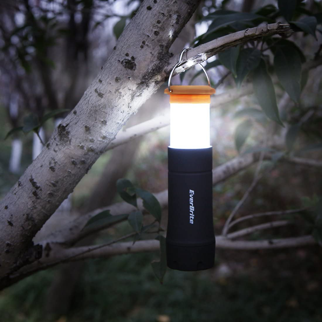 Everbrite 2-In-1 Mini Lanterns and Flashlights with 3 Modes, 2 Pack Portable Outdoor LED Zoomable Torches, AAA Batteries Included - for Hurricane Supplie Camping, Hiking, Night Walking, Emergency image number 1