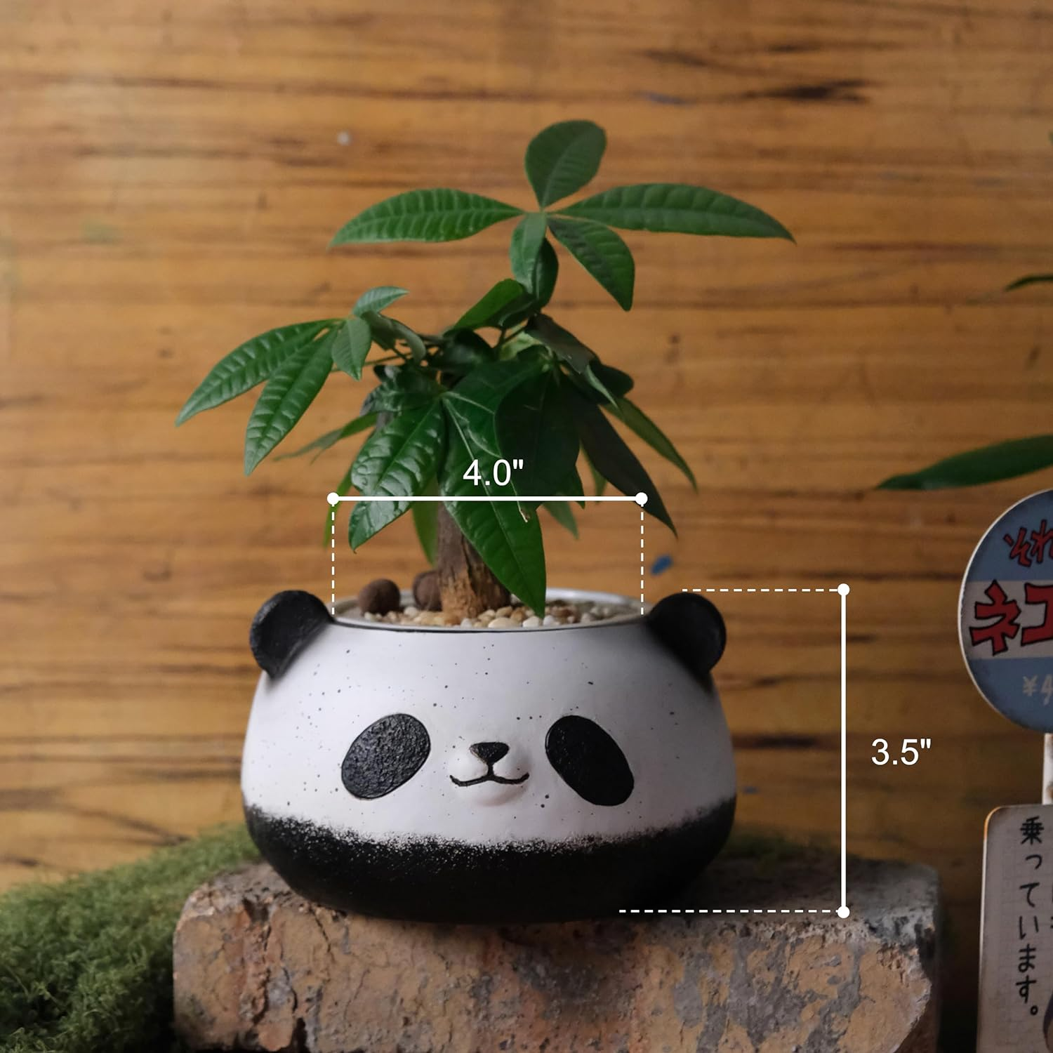 Small Panda Bear Plant Pots, Resin round Flower Pots, Cute Succulent Pots with Drainage Holes, Home Decor Planters for Animal Lovers image number 3
