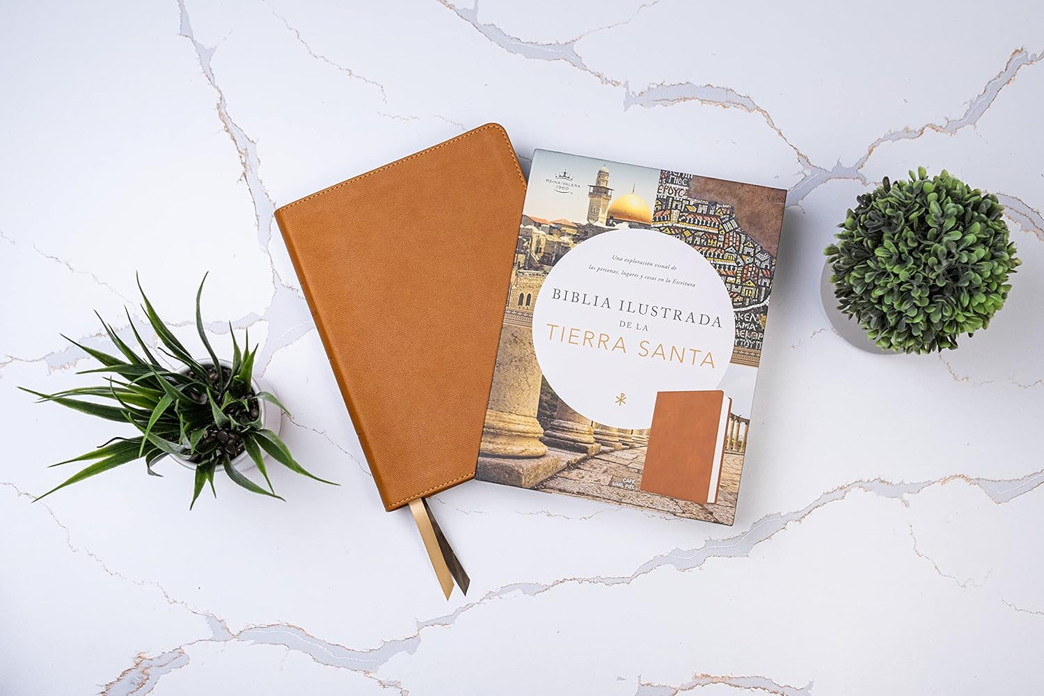 Rvr 1960 Biblia Ilustrada De La Tierra Santa, Caf&eacute; S&iacute;mil Piel Con &Iacute;ndice image number 5