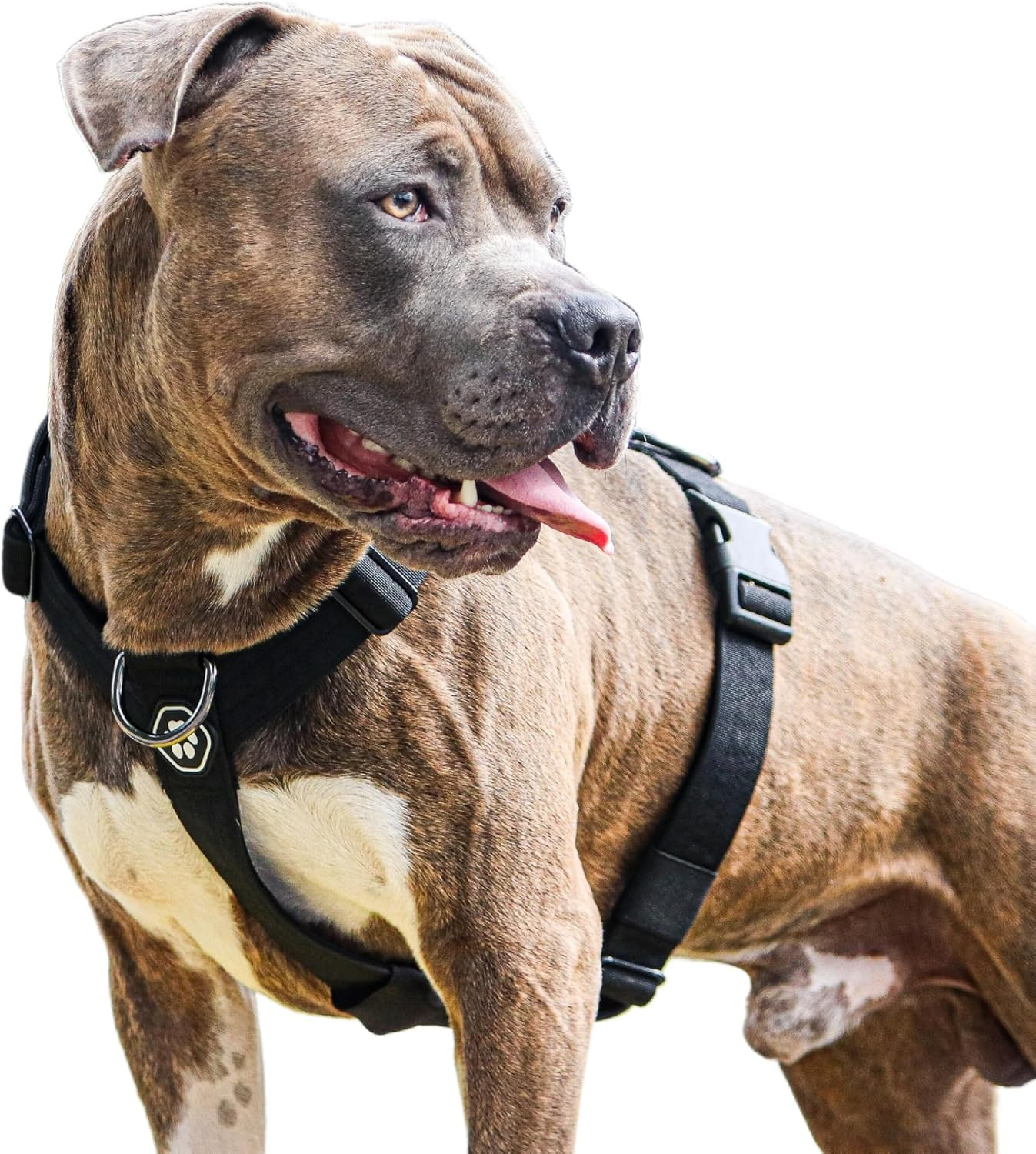 Spark Paws No-Pull Dog Harness - Designed for Safety and Control, Ideal for Large, Strong Breeds - Pitbulls, Boxers - Black, L image number 1