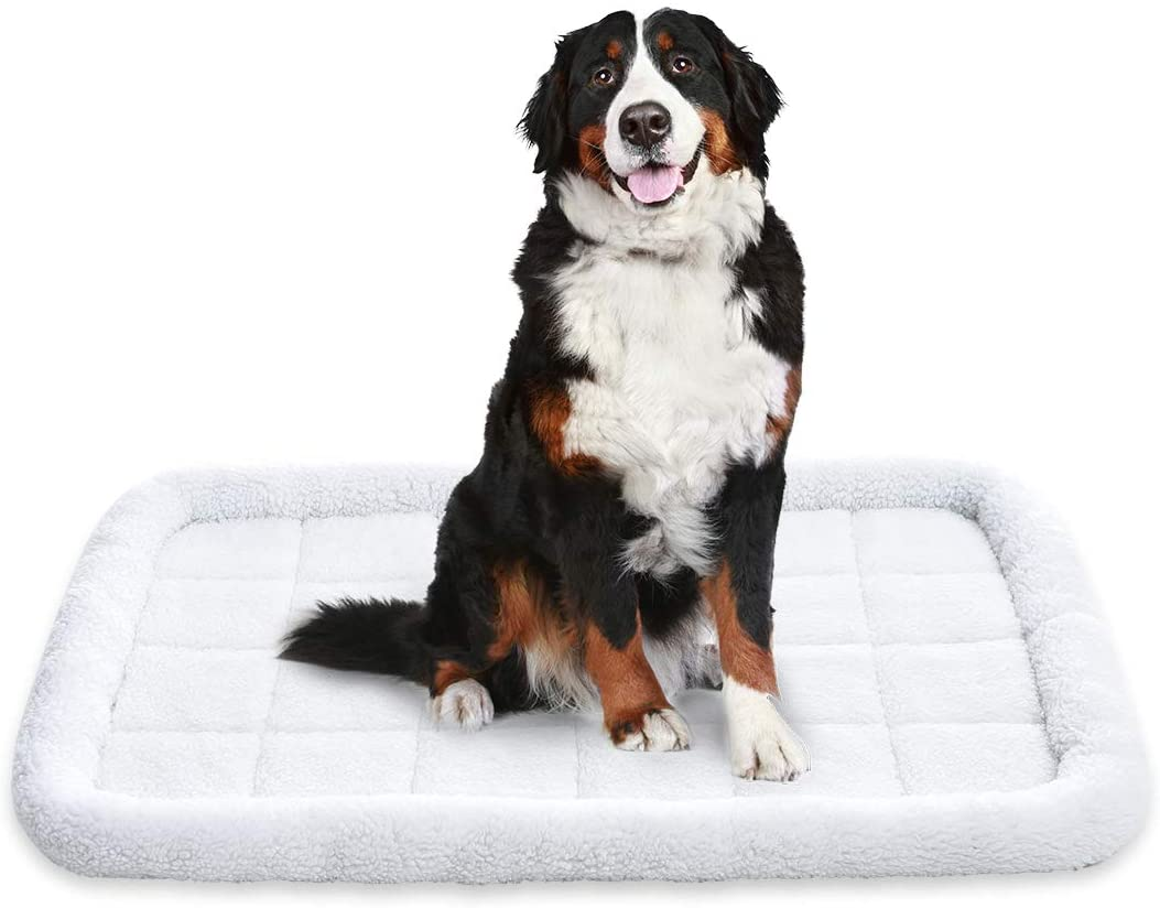 Amazon Basics Padded Pet Bolster Bed - 89 X 56 Centimeters