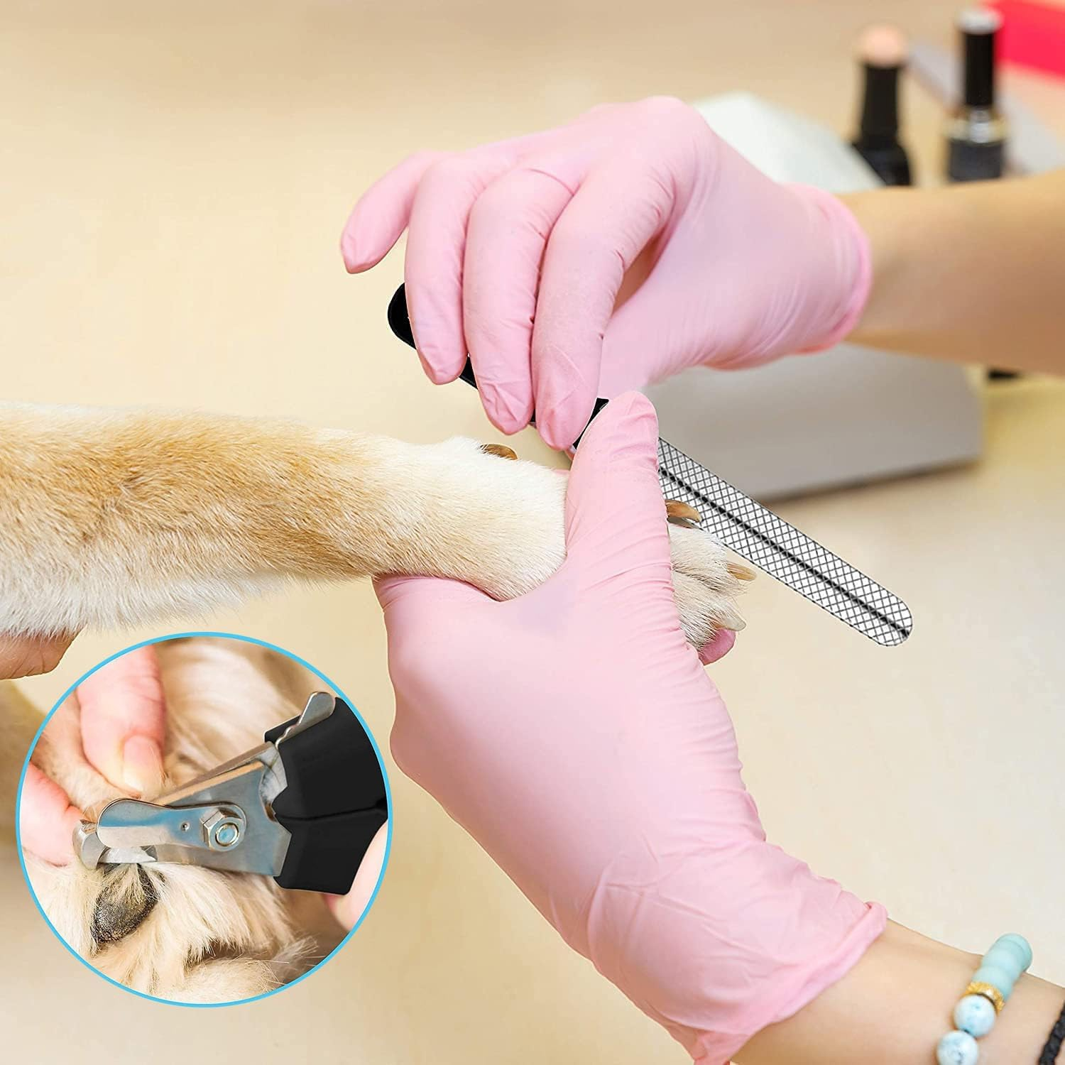 Paifeancodill Dog Nail Clippers, 2 Pack Pet Nail Trimmer Clipper Set with 2 Nail Files,Professional Pet Nail Clipper & Trimmers with Safety Guard to Avoid over Cutting,Grooming Razor with Nail File image number 1