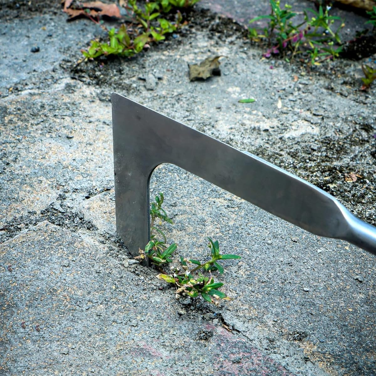 AIMALL Stainless Steel Weeder Tool with Wooden Handle, Lightweight Garden Weed Puller, Available in Sizes, Durable Weed Grabber