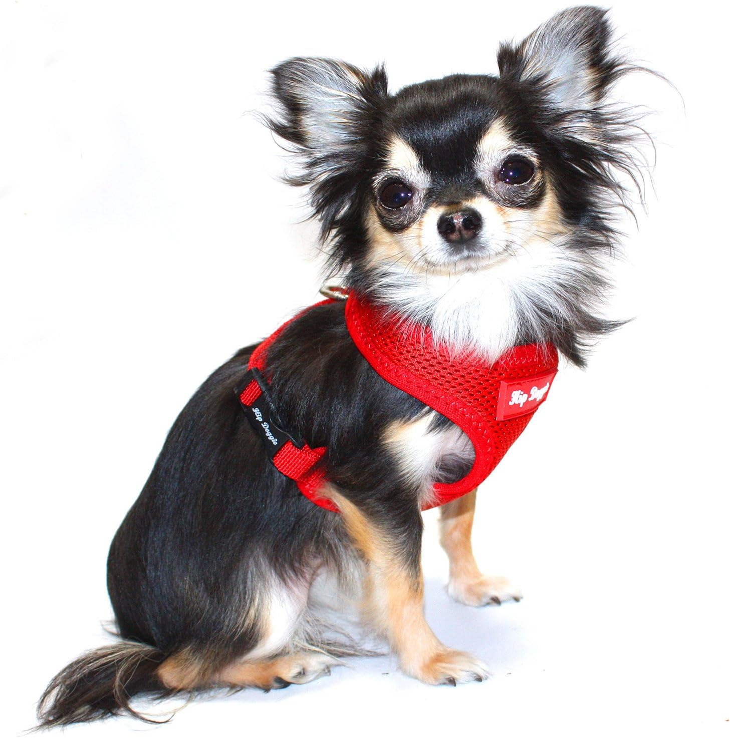 Hip Doggie HD-6PMHRD Ultra Comfort Harness Vest Dog Harness, XL, Red image number 3