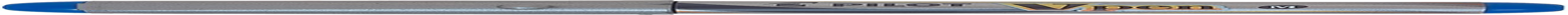 Pilot Vpen Silver Barrel Disposable Fountain Pen, Blue