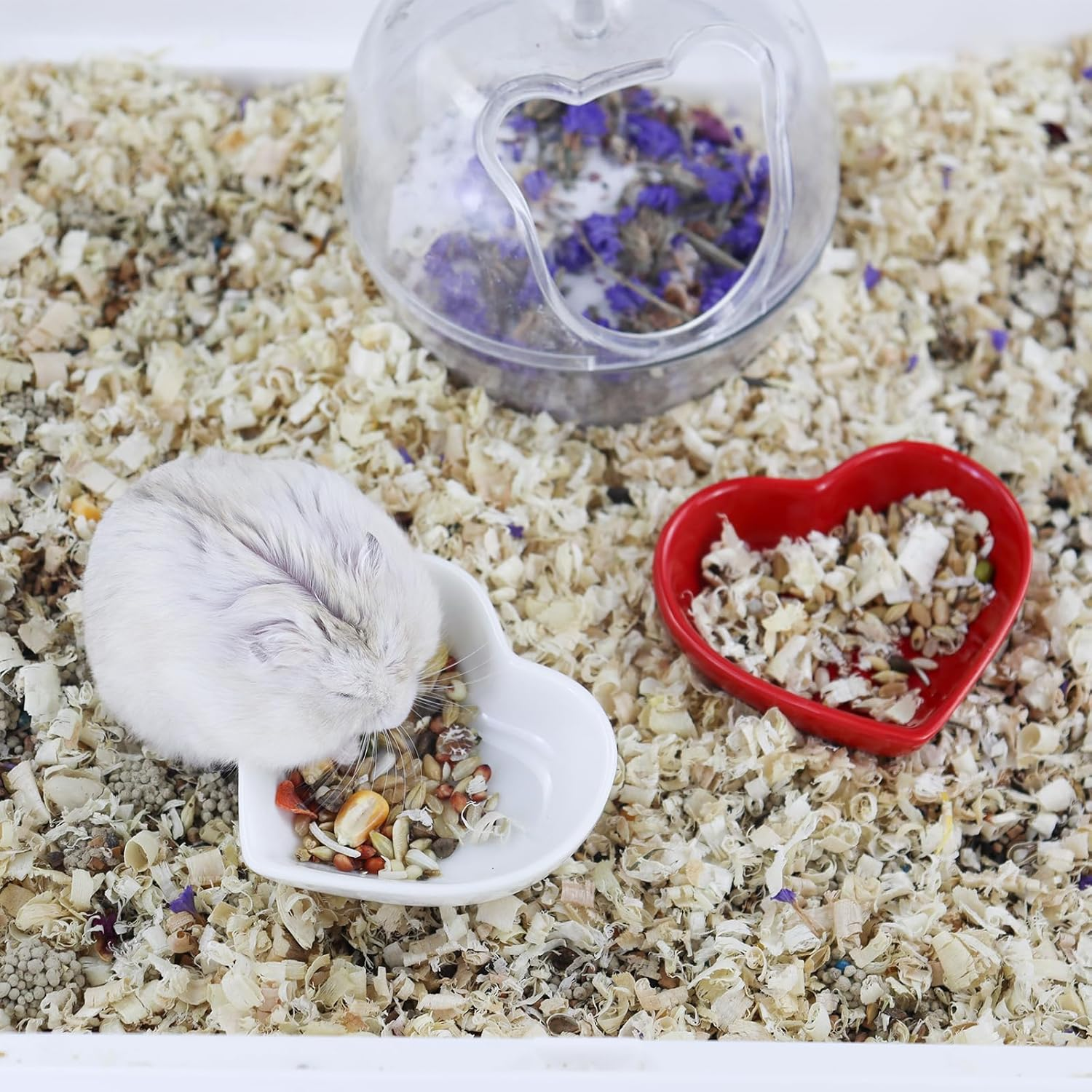 Luckyopt Hamster Bowl Ceramic Heart Shape Pet Feeding Bowl Washable Small Animal Bowls Hamster Water Bowl for Guinea Pigs, Gerbils, Hedgehogs, Chinchilla, Parrot (Red) image number 3