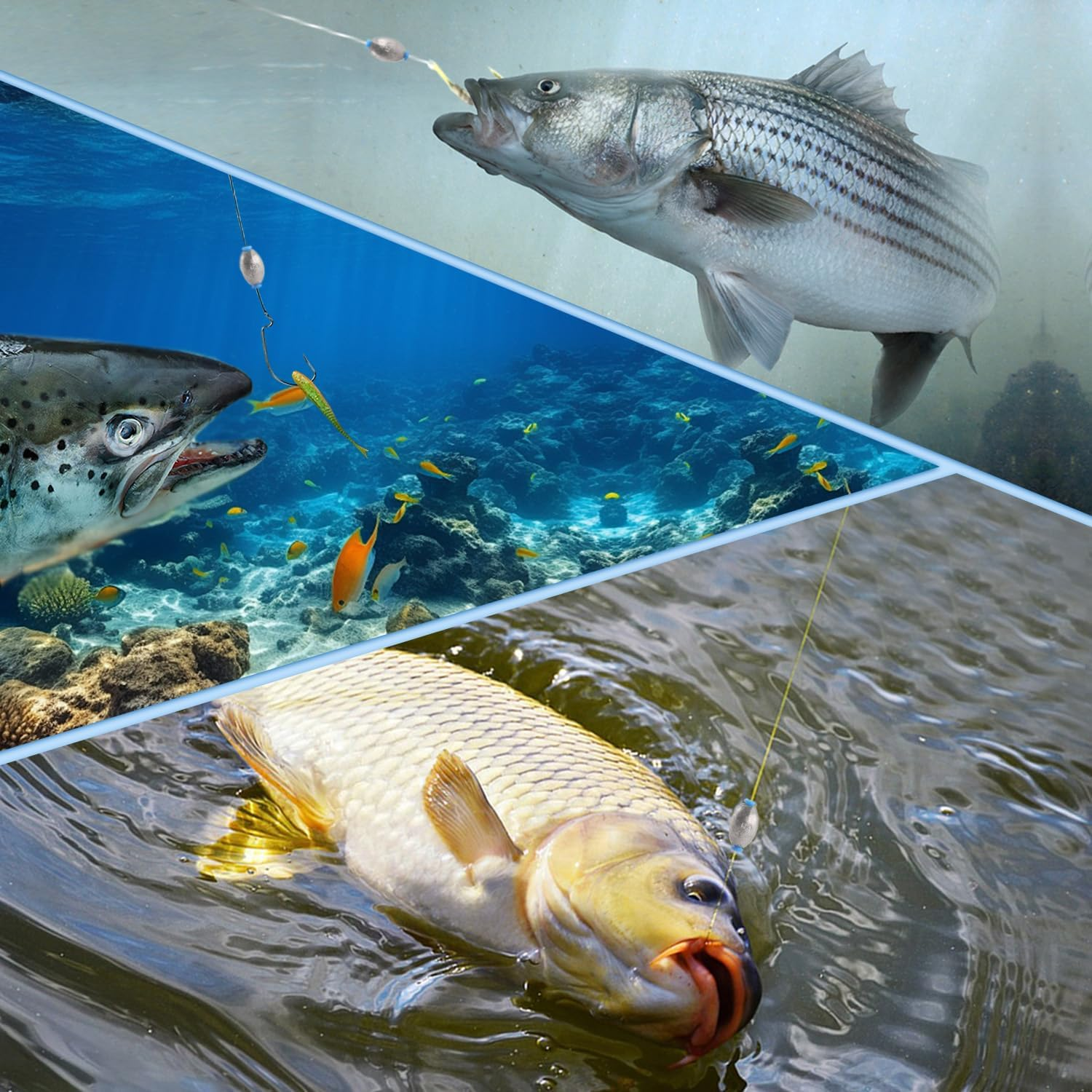 WALWAL Fishing Egg Sinker Weights, Olive Shape Inner Bass Lead Casting for Saltwater and Freshwater(2G*12+5G*12+10G*12)