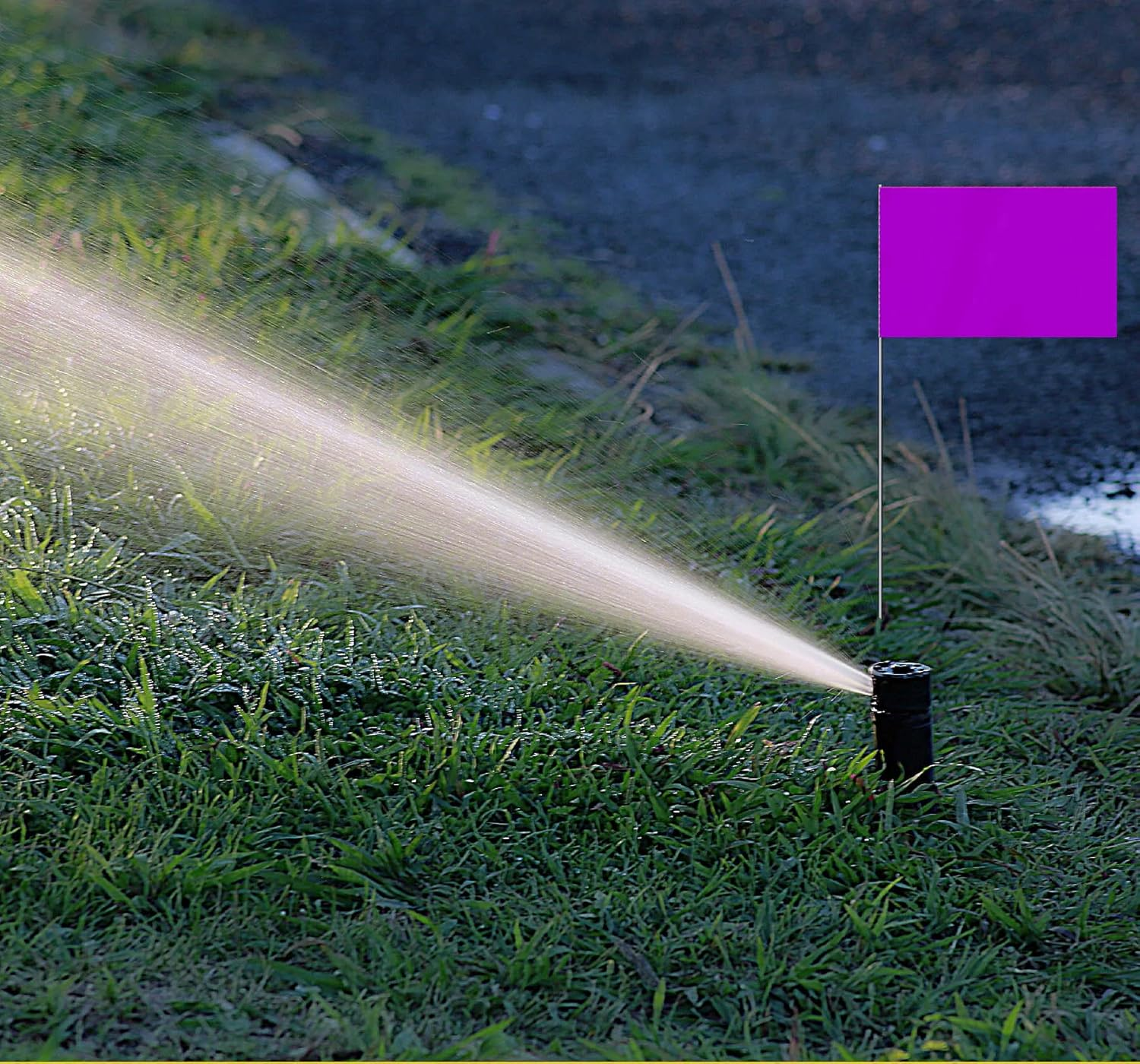 35 PCS Purple Small Flag,15 Inch Steel Flagpole Mini Flag,Ground Marking Flags Decor,Petit Drapeau image number 4