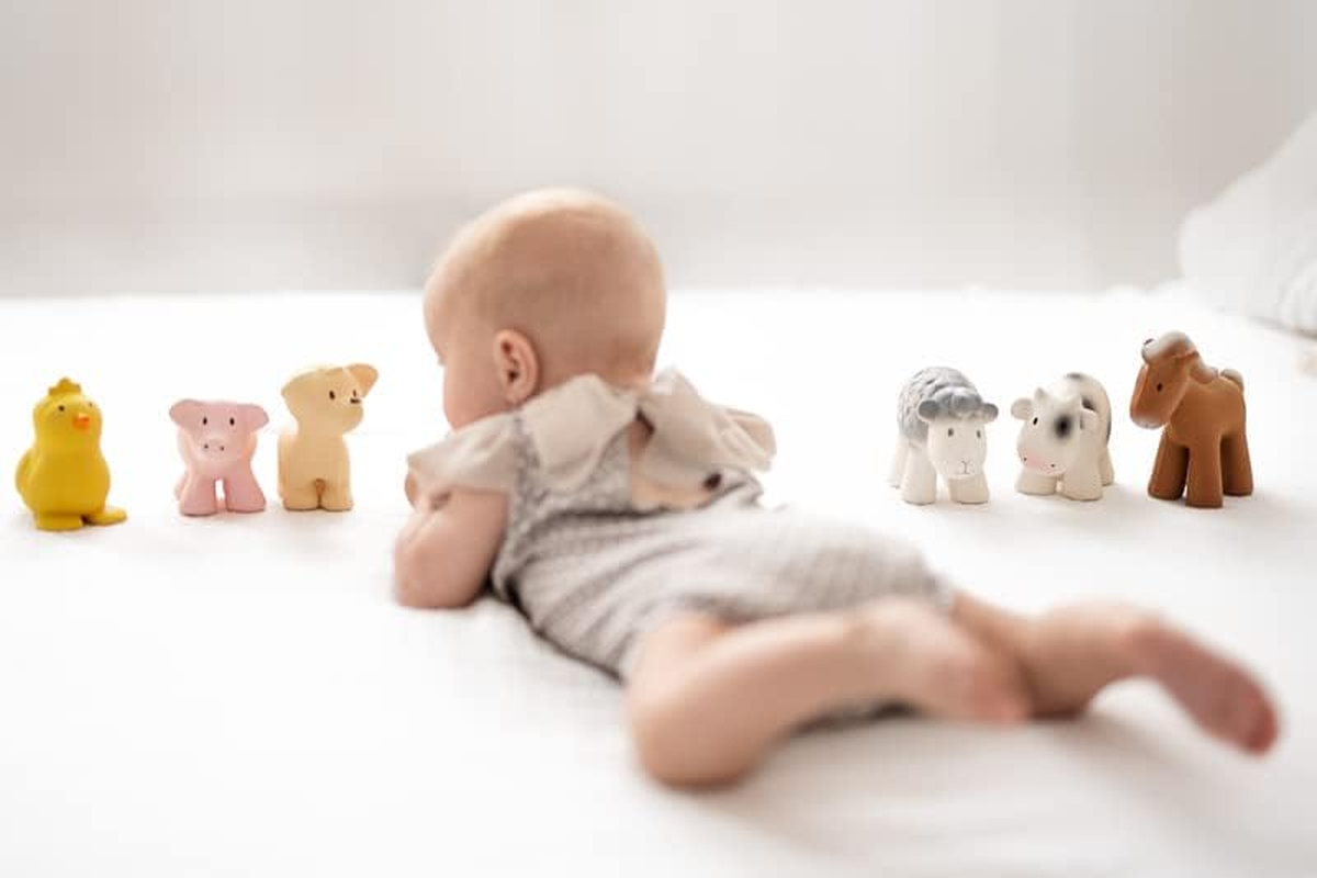 Tikiri Farm Animal Fully Enclosed All Rubber Bath Teether Toys Set of 6 image number 4