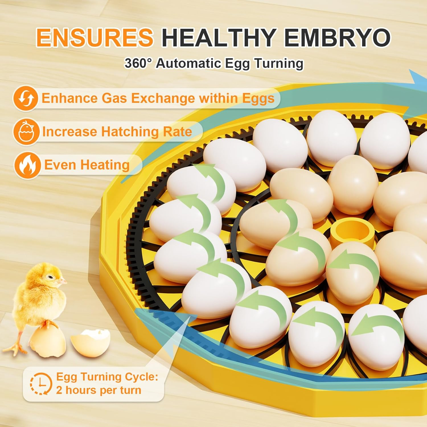 AUTENS 26 Egg Automatic Incubator for Chicken Duck Quail Goose Eggs - Digital Thermostat Humidity Control, Auto Egg Turning & LED Candler, Clear View Window, Overheat Protection image number 1