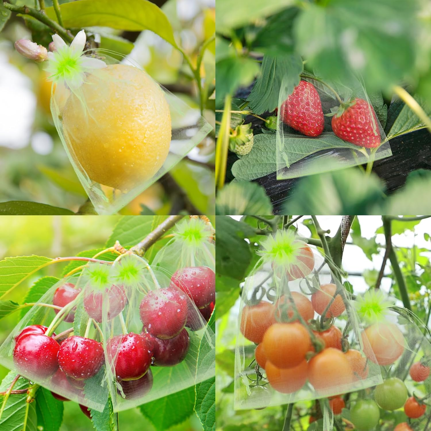 100Pcs Fruit Protection Bags, 6X4In Mesh Fruit Nets with Drawstring Reusable Netting Cover Bags Barrier for Protecting Trees Strawberries Vegetables Blueberries (Green) image number 3