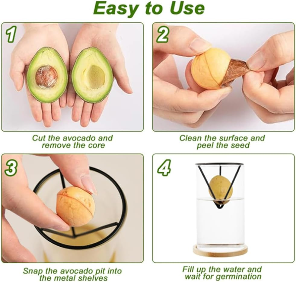 Avocado Tree Planter Pot, 2 Pack Avocados Tree Growing Kits, Avocados Growing Vase Wooden Base with Metal Triangle Bracket and Bamboo Base for Grow Avocado Seeds, Herbs and Small Trees image number 3
