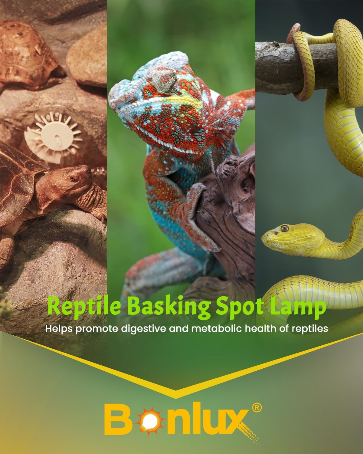 Bonlux Intense Heat Lamp Bulbs 100W, Dimmable UVA Basking Bulb E27 Daylight Reptile Heat Lamp Light Bulb for Lizards Tortoise Snakes Bearded Dragon Aquarium Amphibian (3-Pack) image number 5