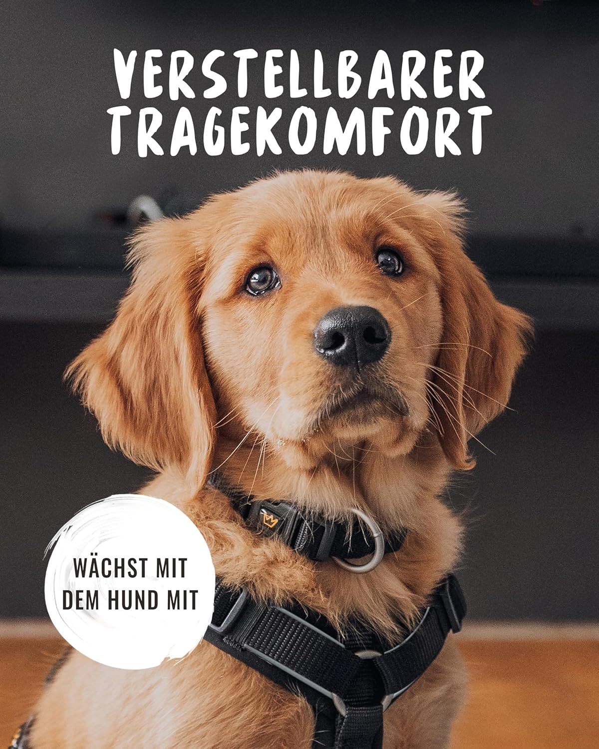 Rudelk&ouml;nig Paola Dog Collar - Adjustable Nylon Dog Collar - Reflective Dog Collar Medium Dogs in Black image number 2