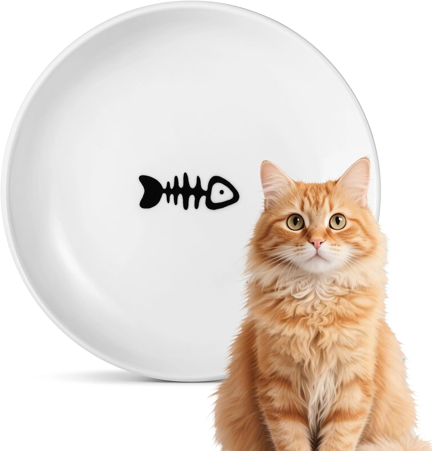 Ceramic Pet Bowl, Durable Design, Microwave & Dishwasher Safe, Shallow Bowl for Cats, Compatible with Wet & Dry Food, Easy to Clean, White & Black, Multi-Use,2Pcs,By Ruibex image number 3