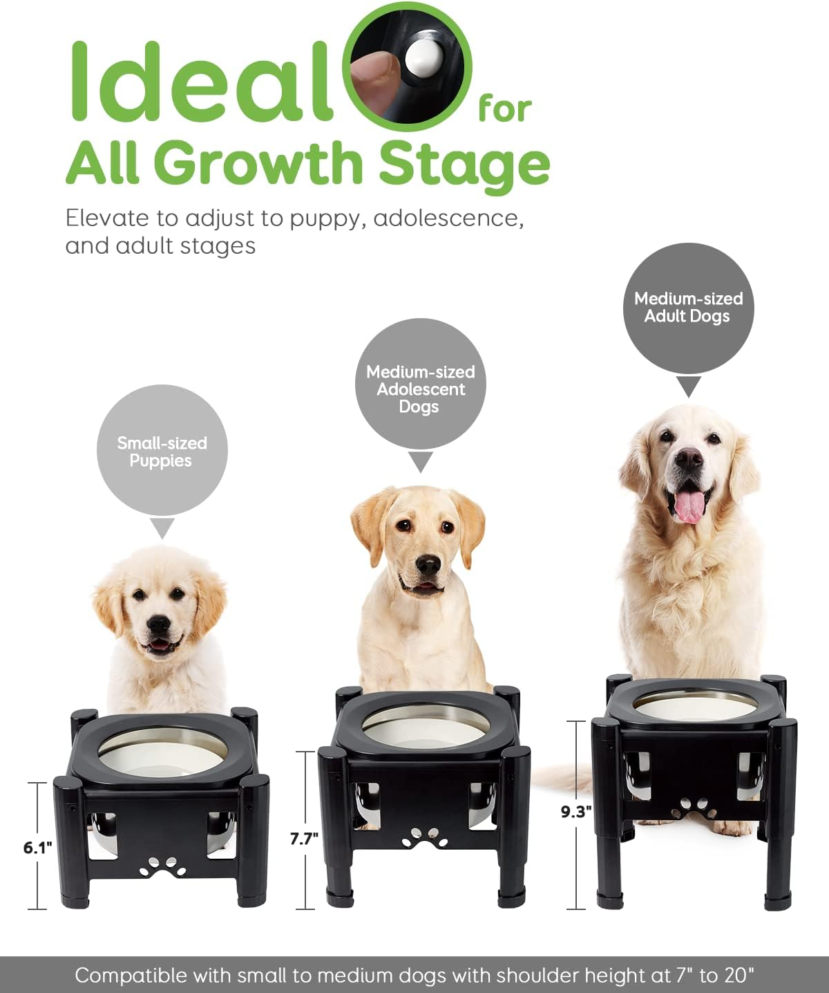 Pawque Elevated Dog Bowls, 80Oz Stainless Steel Water Feeder with 3 Adjustable Heights, Anti-Spill Design for Small to Medium Sized Dogs image number 4