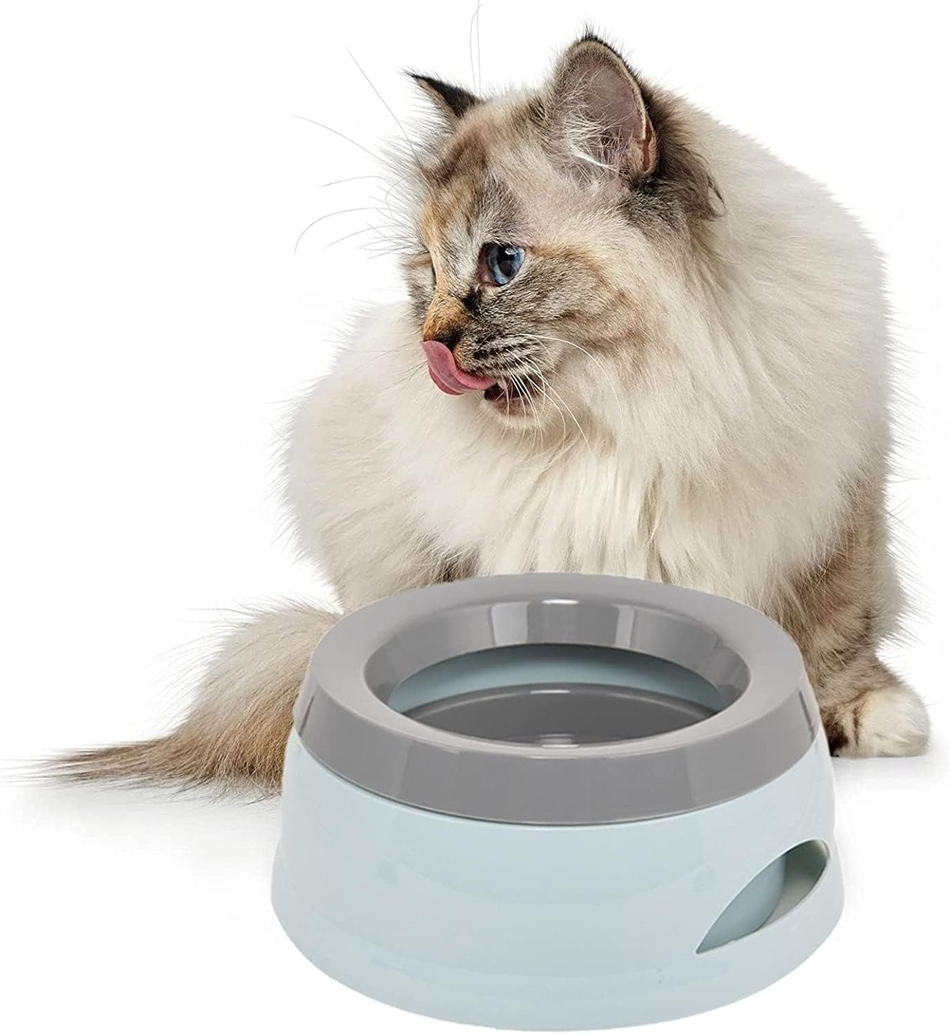 Water Bowl for Dogs Dog Bowls Non-Slip Drinking Bowl Cat Bowl Portable Water Bowl Car Travel Drinking Bowl Portable Non-Slip Drinking Bowl Leak-Proof Cat Bowl Drinking Bowl for on the Go image number 2
