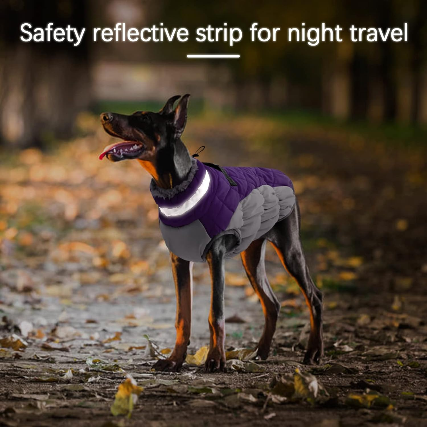 OUOBOB Large Dog Coat, Xxlarge Dog Winter Coat, Waterproof Pet Jacket with Back Zipper,Extra Large Pet Coats, Warm Fleece Jacket with D-Ring, Windproof Winter Clothes Golden Retriever,Purple,Xxl image number 4