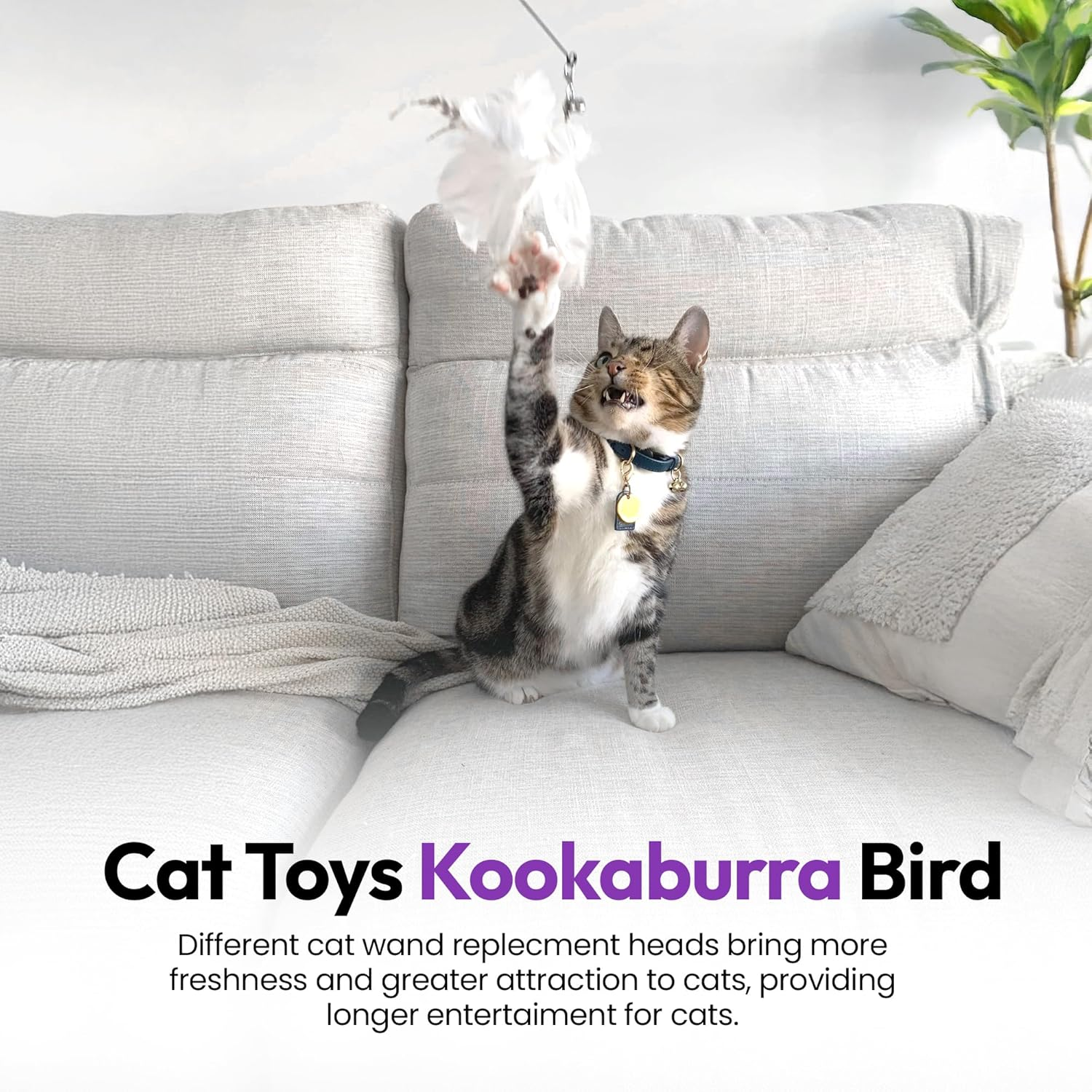 PURRZ Feather Toy Attachments for Cats, 5-Pack &ndash; Jingle Jangle Wand Refills with Kookaburra-Coloured Feathers and Bells for Interactive Cat Play &ndash; Safe and Durable Indoor Cat Toys image number 1