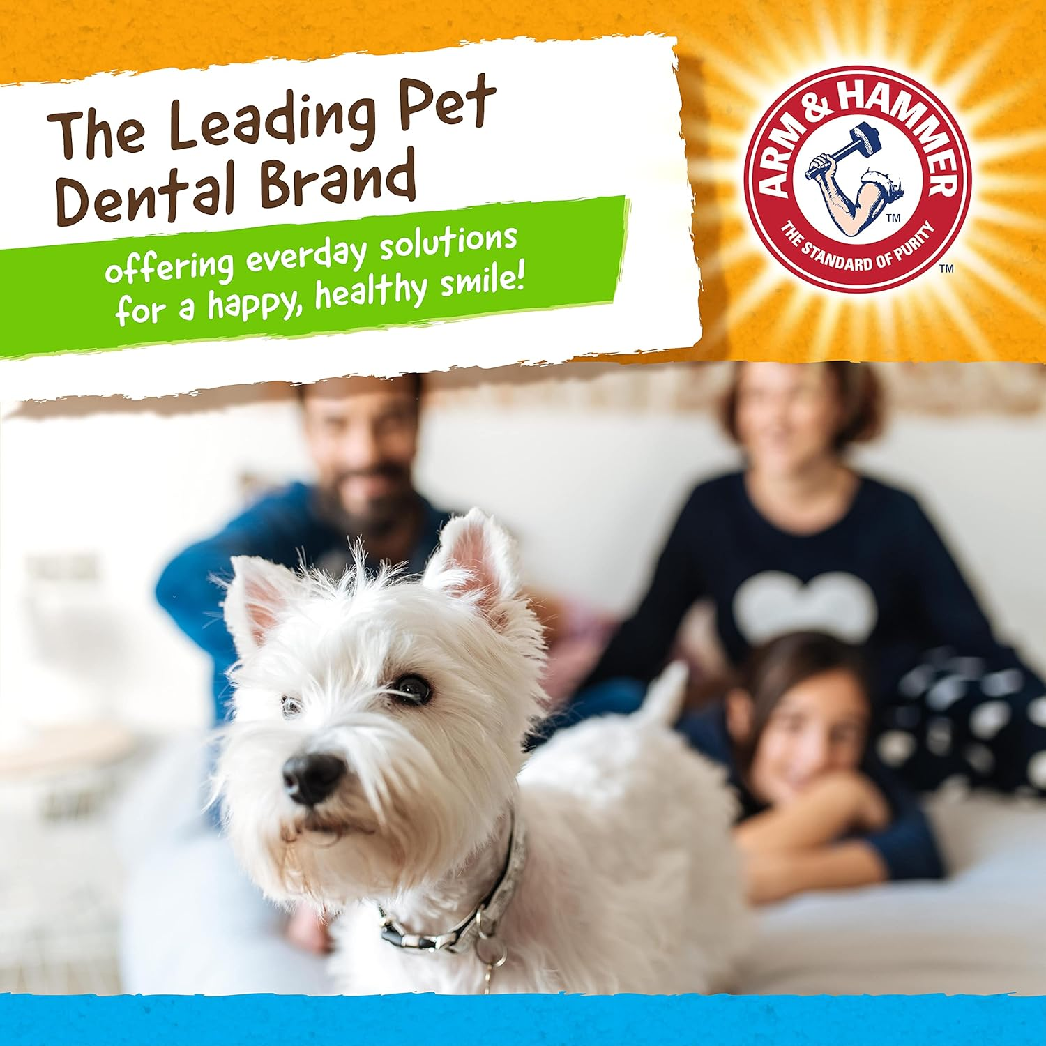 Arm & Hammer Rock N' Roller Axis Rubber Chew Toy for Dogs | Bouncing, Rolling, Chewable, Fetchable Dog Toy Made with Natural Rubber and Baking Soda to Help Redirect Destructive Chewing image number 6