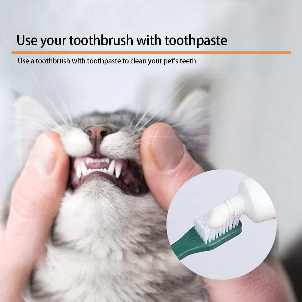 Pet Toothbrush Set Double Head Dog Toothbrush Oral Cleaning Dog Toothbrush Finger Toothbrush Pet Supplies Dog Toothbrush Set 8 Double Head Dog/Cat Toothbrush Cleaning Pet Teeth Convenient Toothbrush