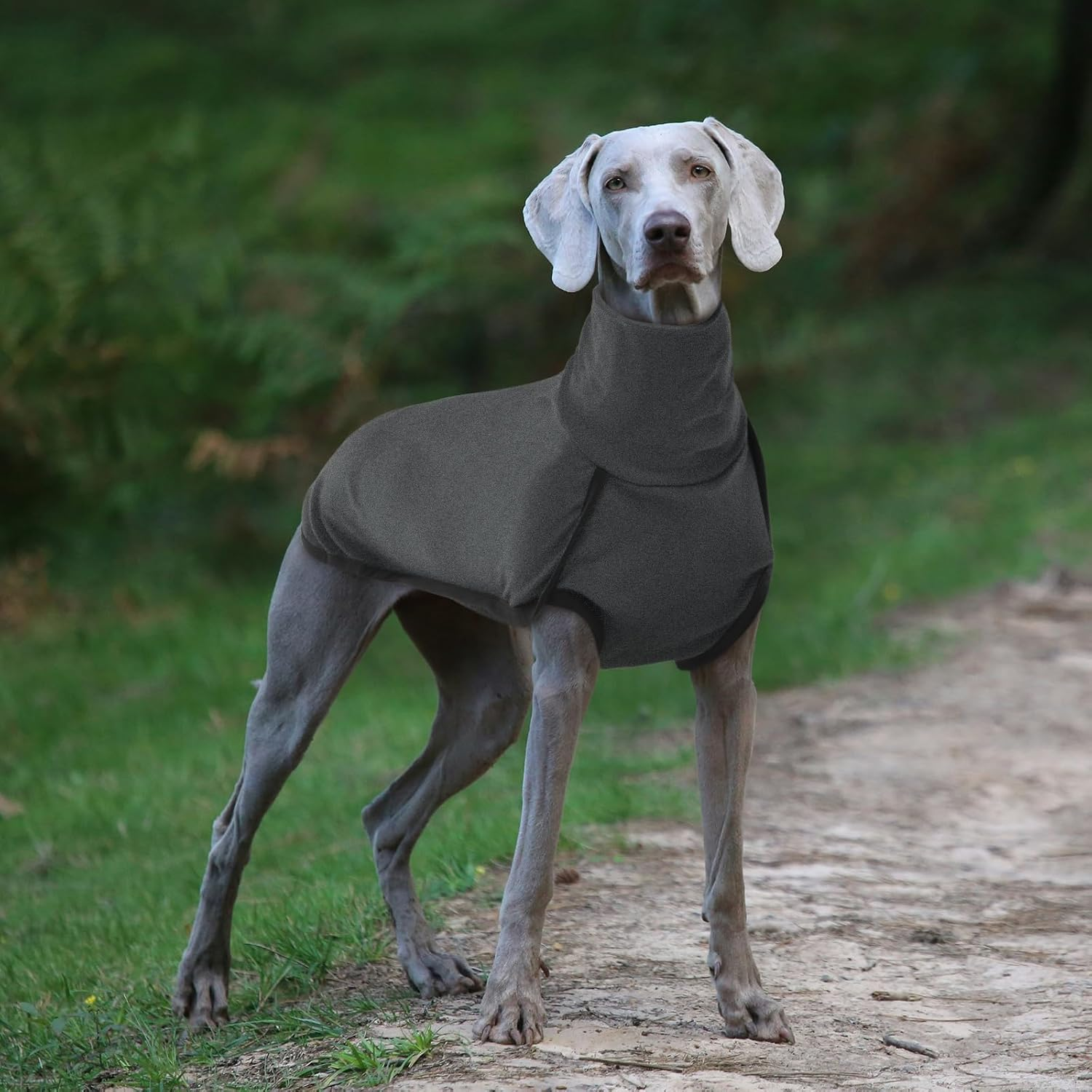 ROZKITCH Dog Winter Coat Soft Pullover Pajamas, Pet Windproof Warm Cold Weather Jacket Vest Cozy Onesie Jumpsuit Apparel Outfit Clothes for Small, Medium, Large Dogs Walking Hiking Travel Sleep Black image number 2