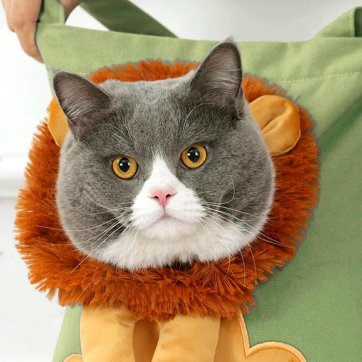 Claumeng Cute Lion-Shaped Cat Carrying Bag,Pet Backpack Carrier, Tote Bag, Large Capacity Dog Canvas Bag Portable Shoulder Pet Outdoor Travel Handbag for Small Animals(Light Green) image number 4